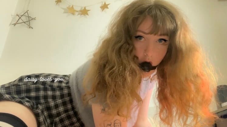 ๐ค Daisy ๐ค banner image
