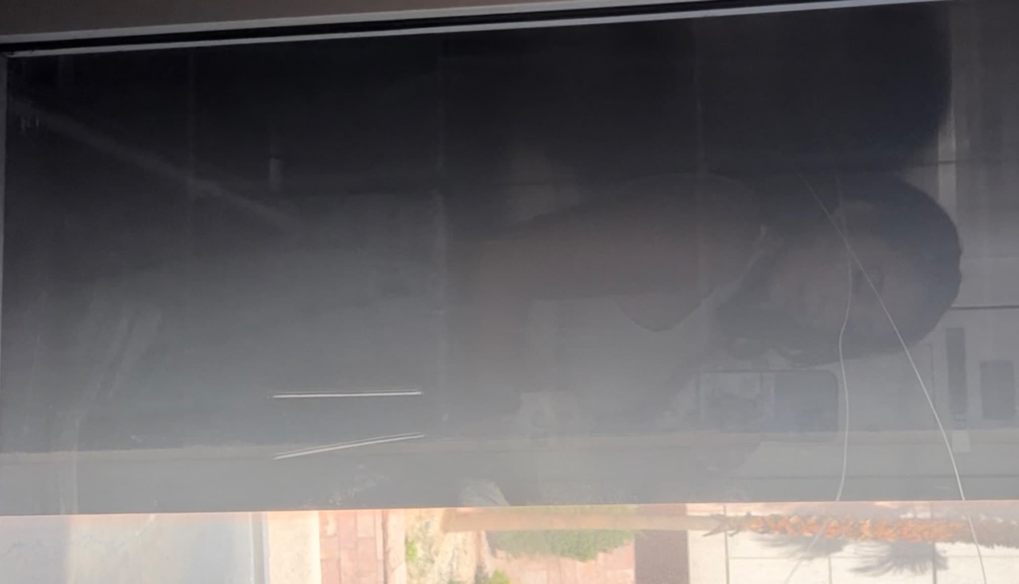 Jay banner image