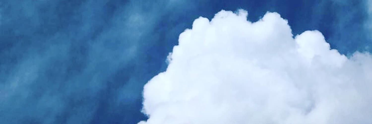 Fallon banner image