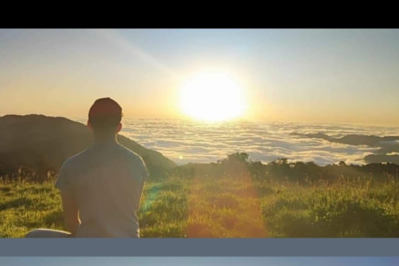 Thony banner image
