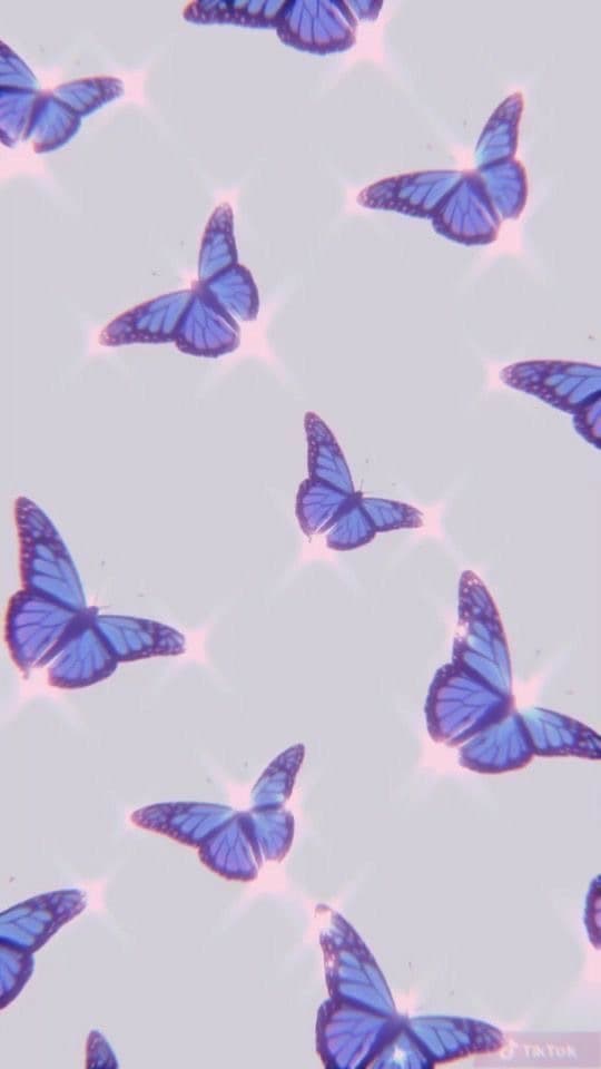 slim banner image