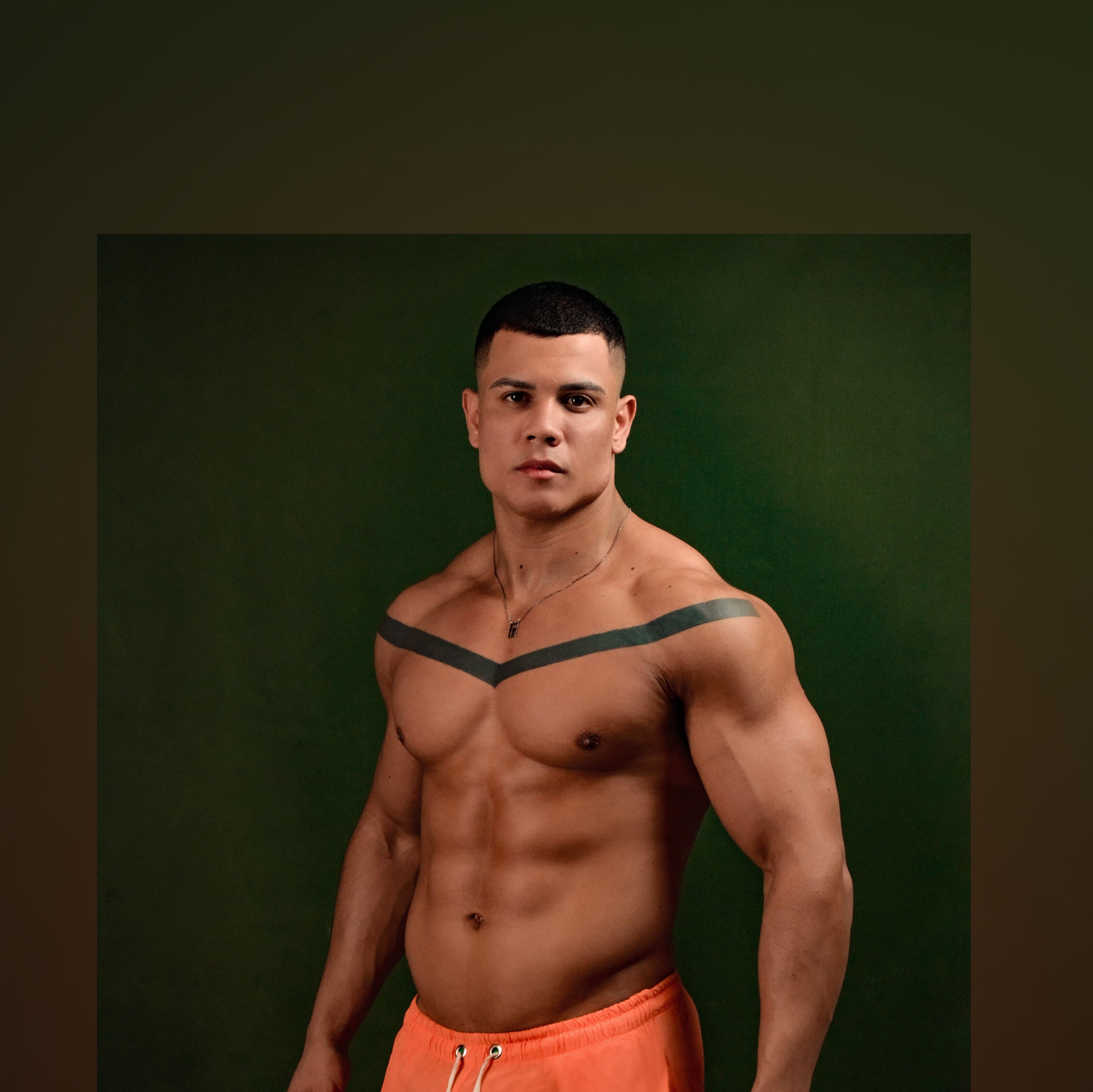 Toy Ventura banner image