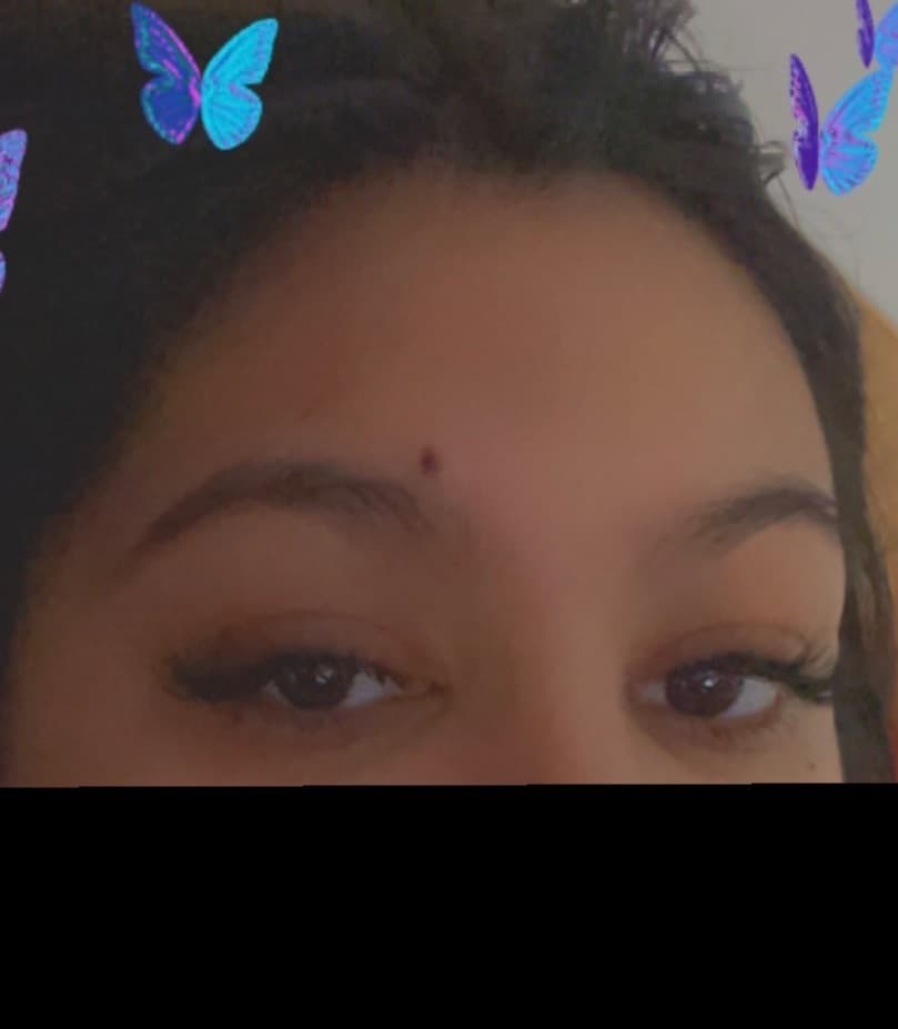 Anellise Baun banner image