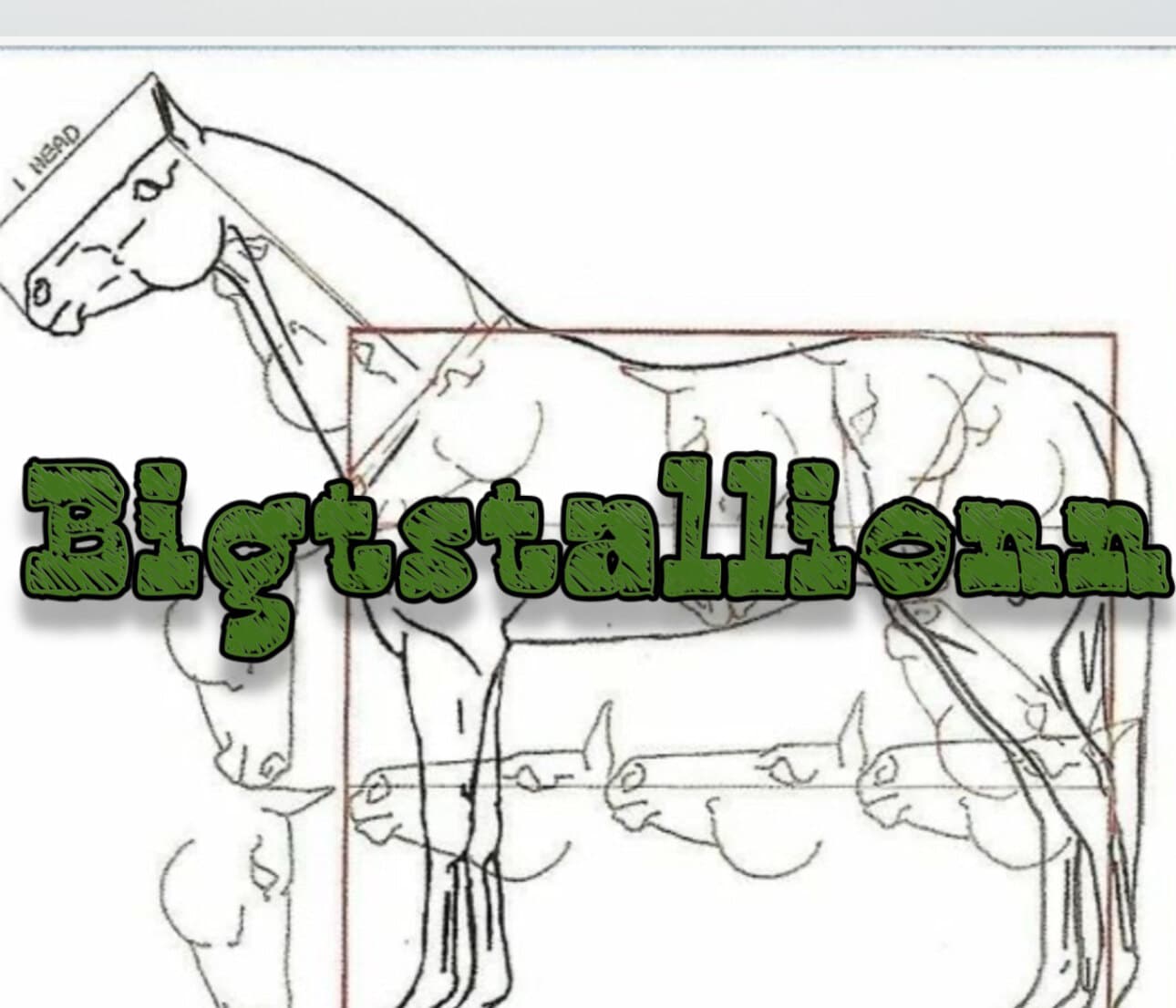 Big T banner image