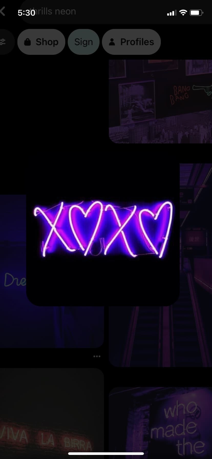Isabella banner image