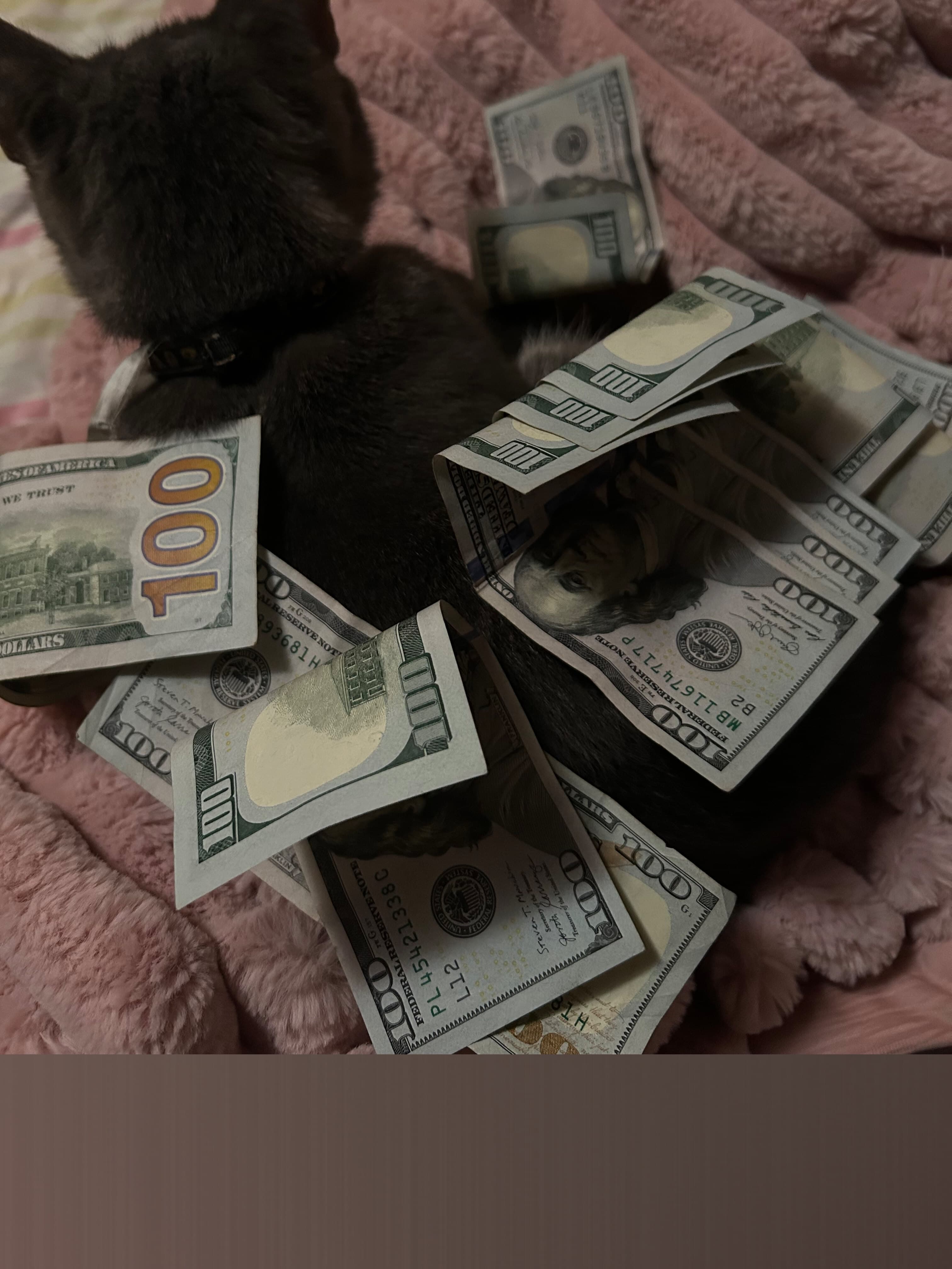 Ako banner image