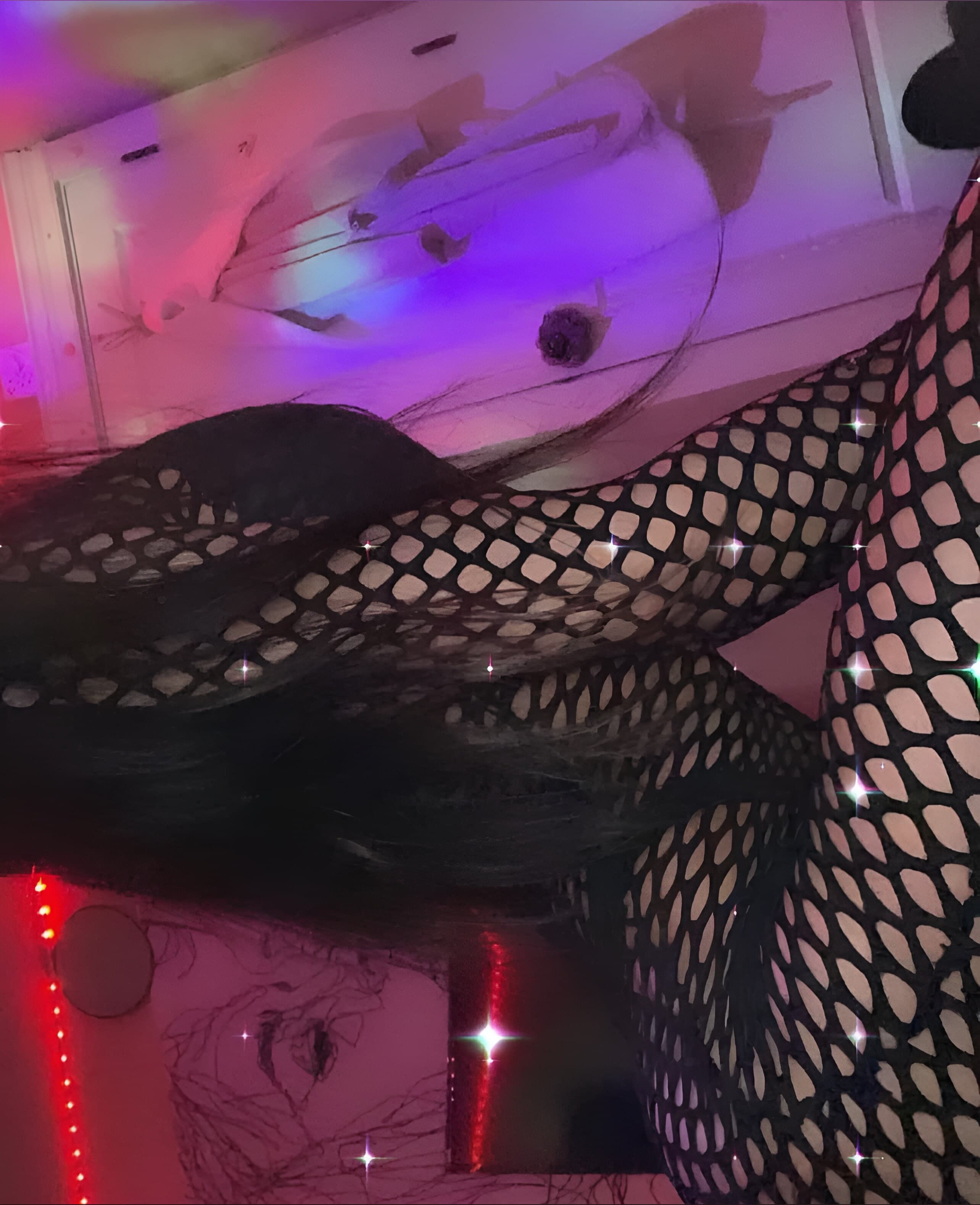 โข ๐ ๐ ๐ ๐ ๐ ๐ ๐ โข banner image