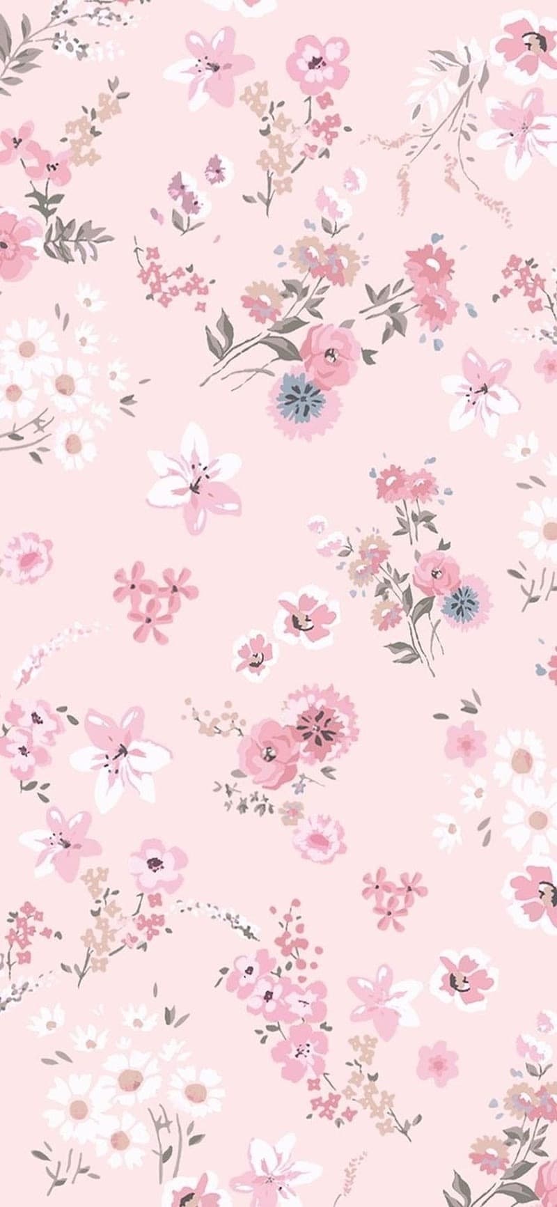 Koneko banner image
