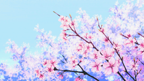 RavenSugar banner image