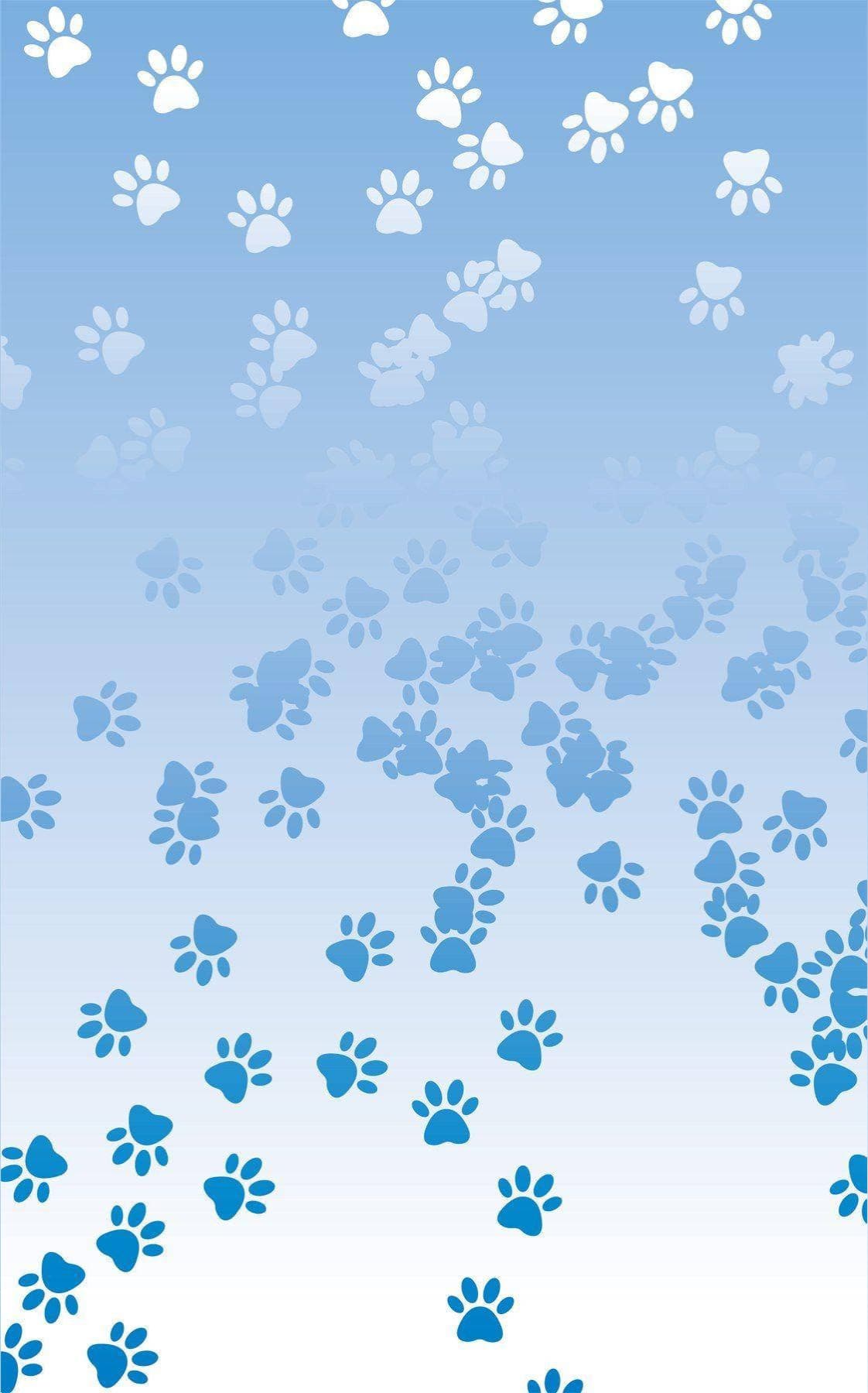 Pup Mateo 💙 banner image