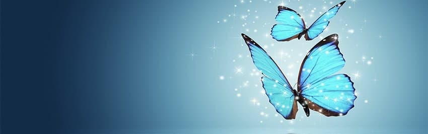Emilia banner image