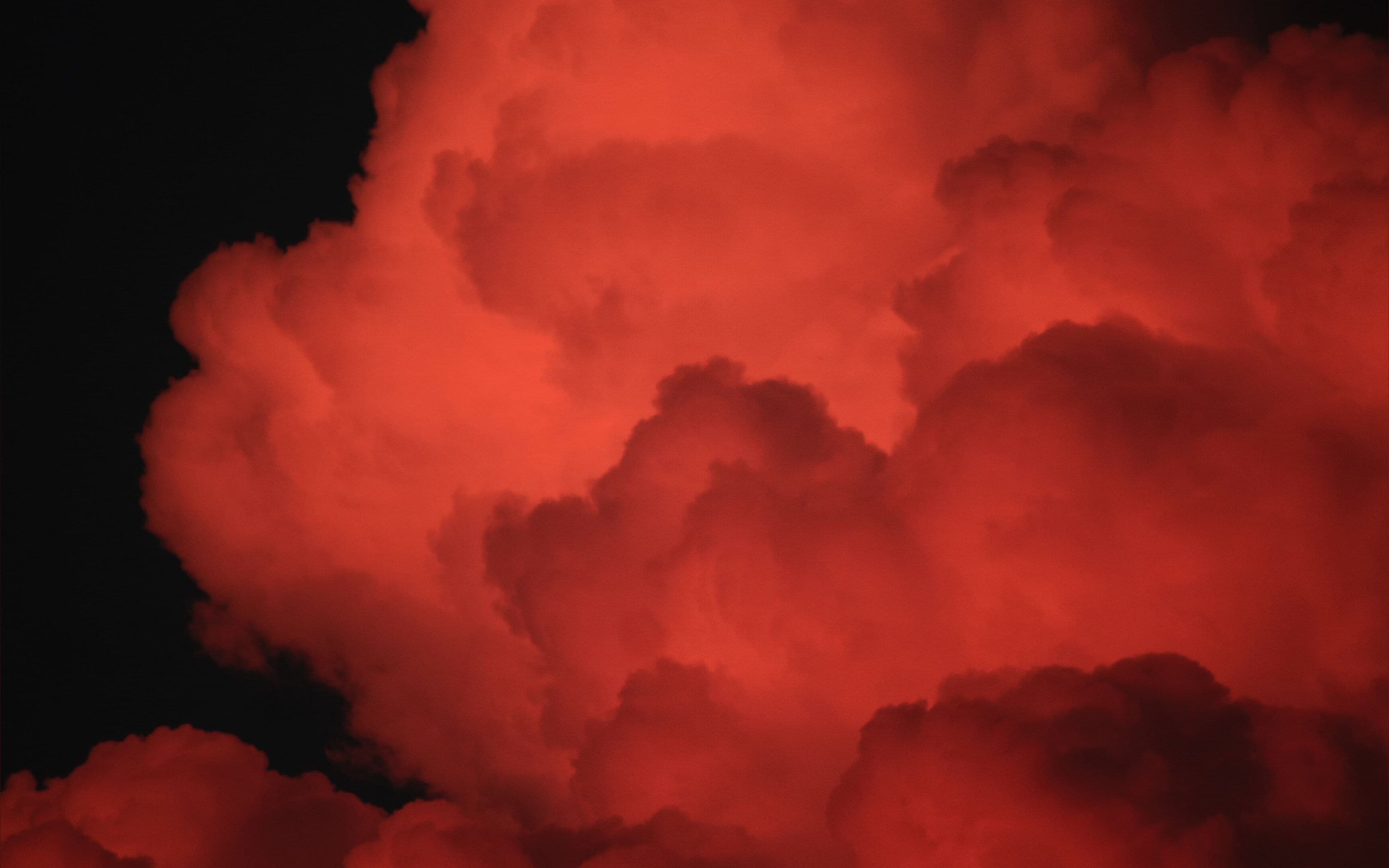 TwojaLillianka_69 banner image