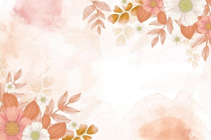 Starla banner image