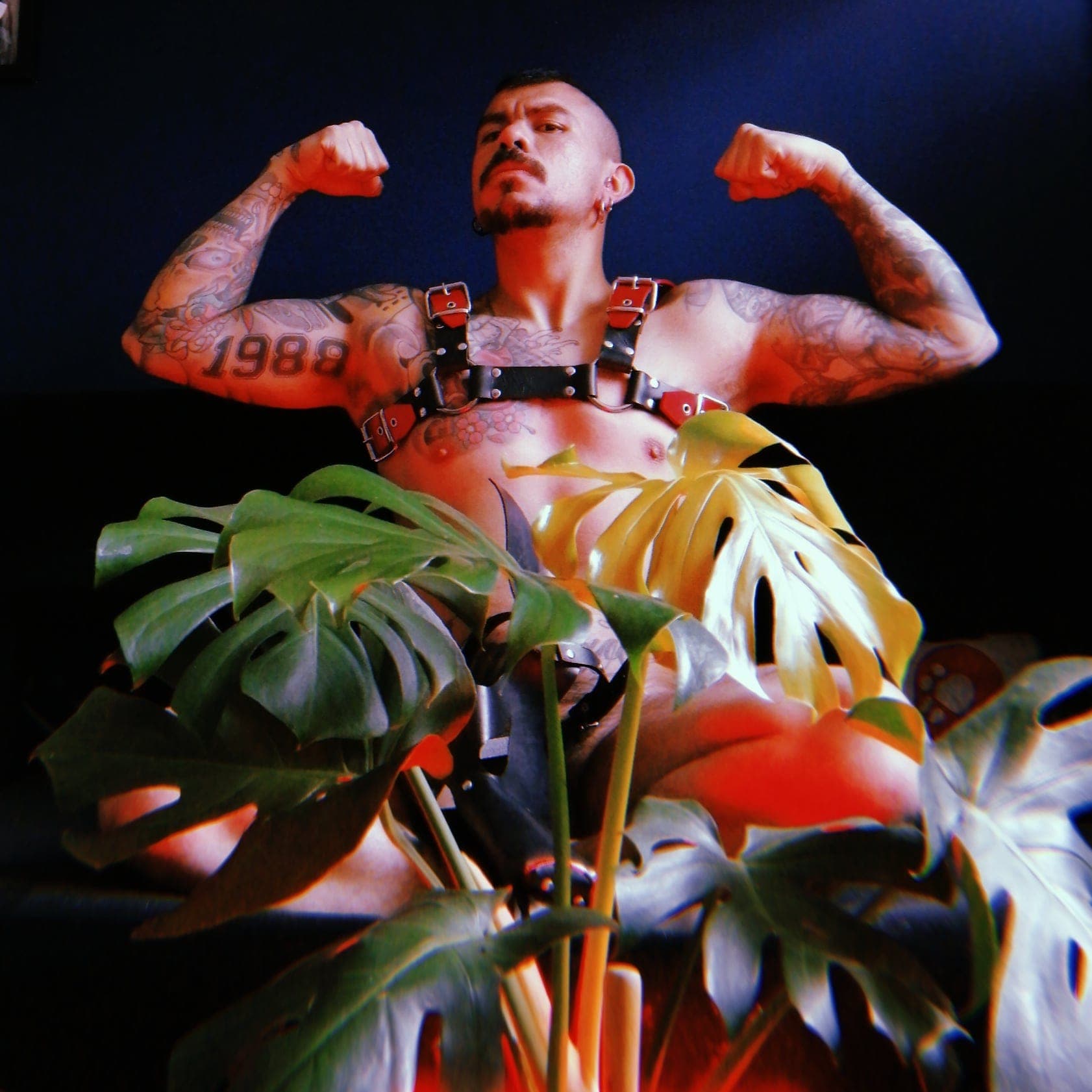 Hole Vandalized banner image