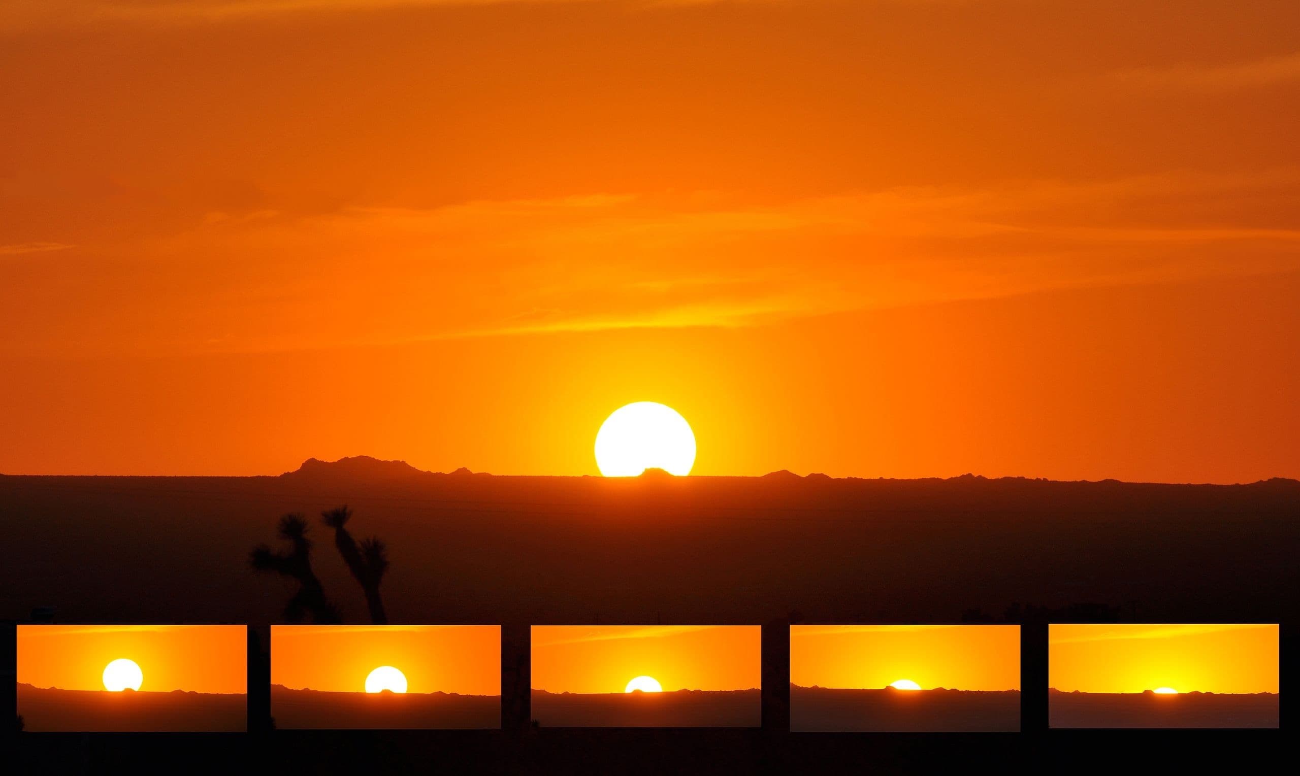Rowen Ellis Hawley banner image