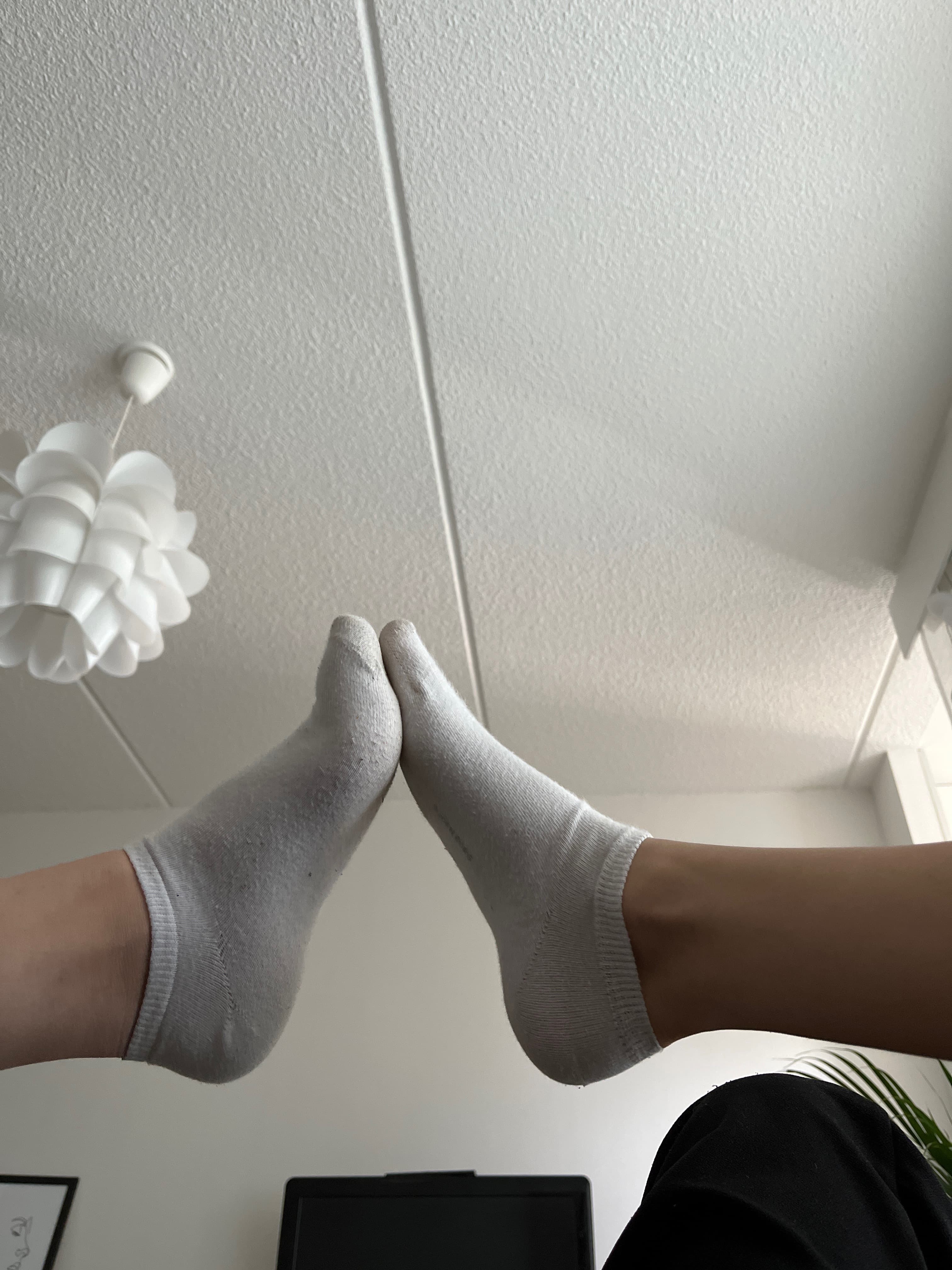 feetfingersfin banner image