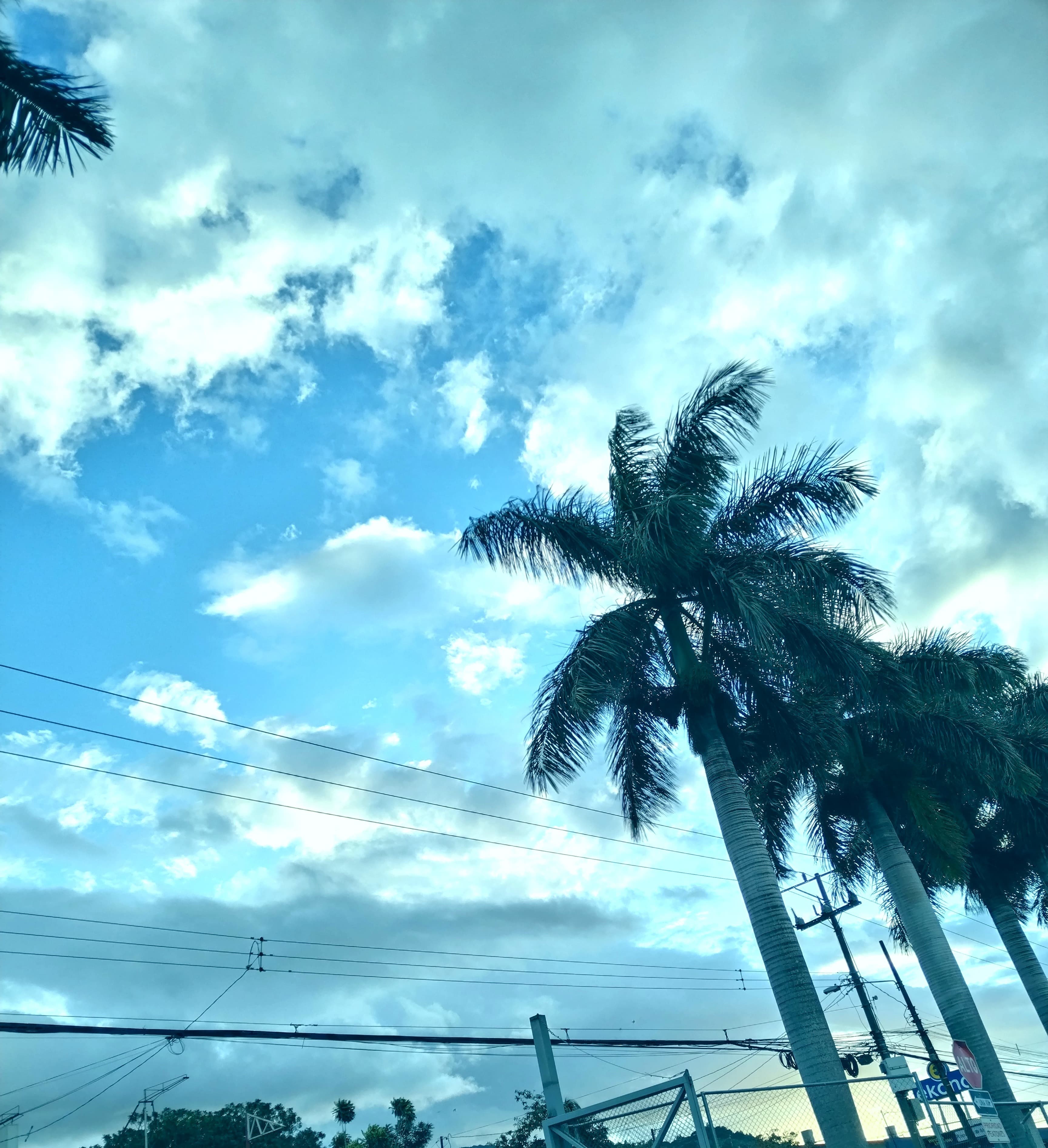 AnnyGR banner image