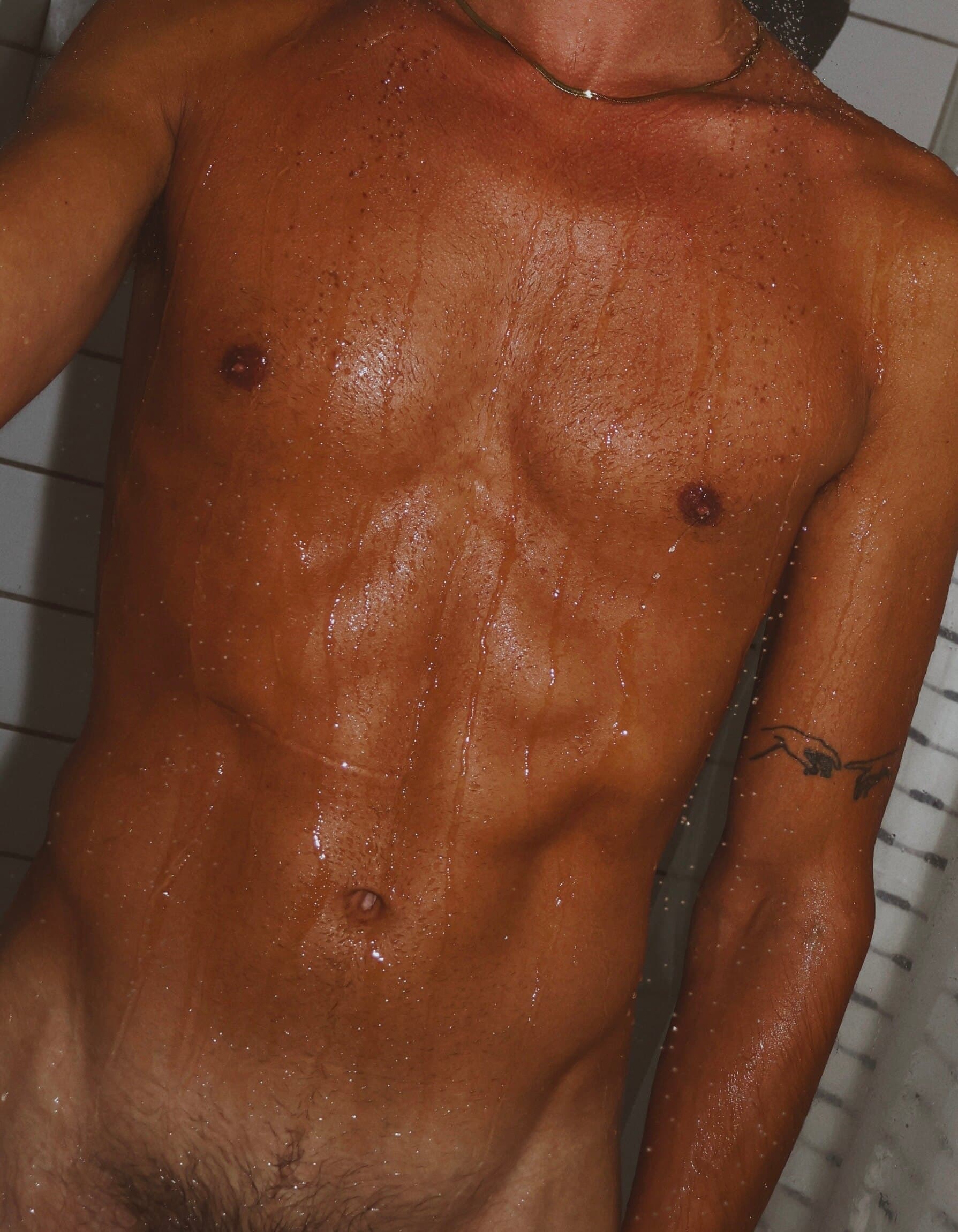 Brad banner image