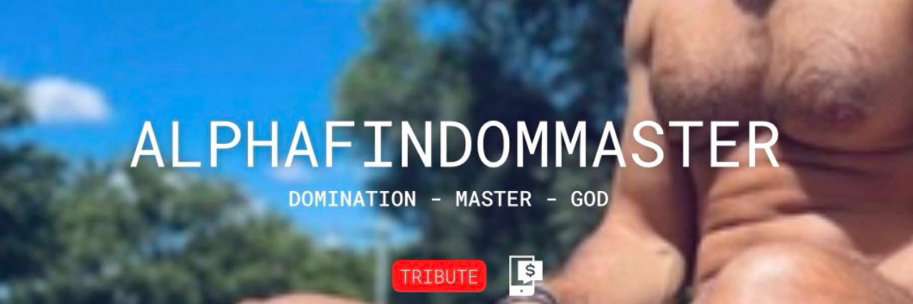 Adam banner image