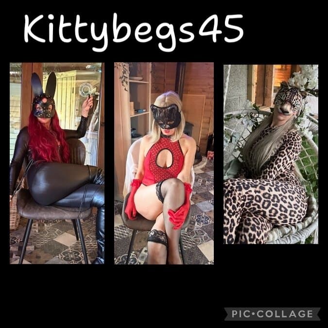 Kittybegs45๐ฑ banner image