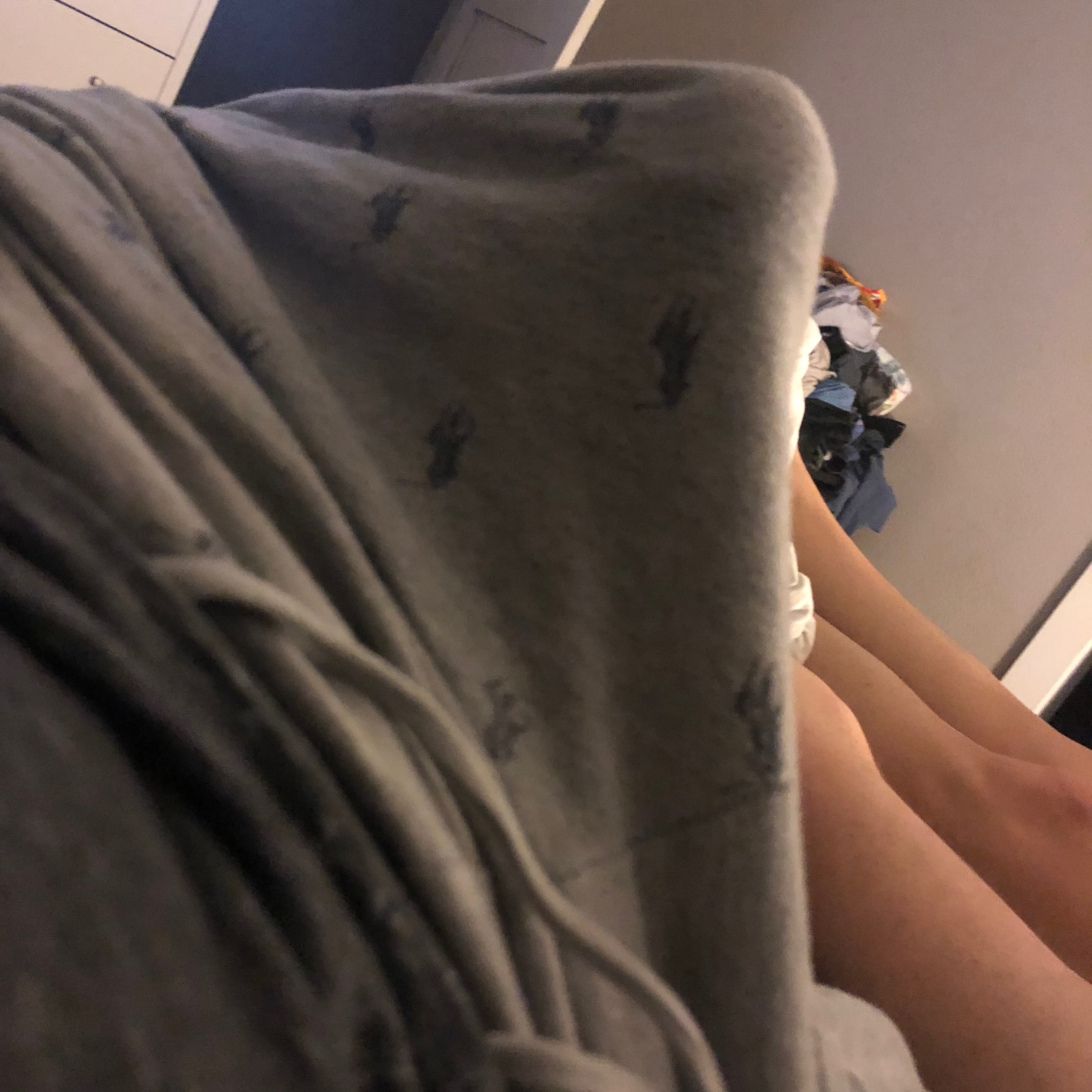 Dylan banner image
