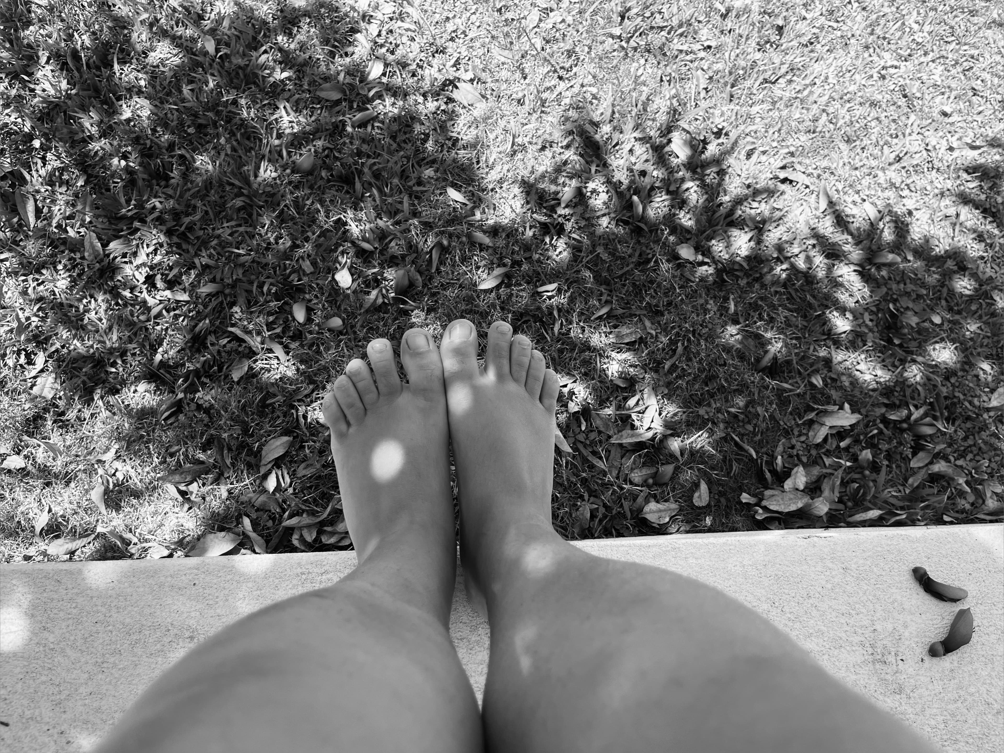 martasfeet banner image