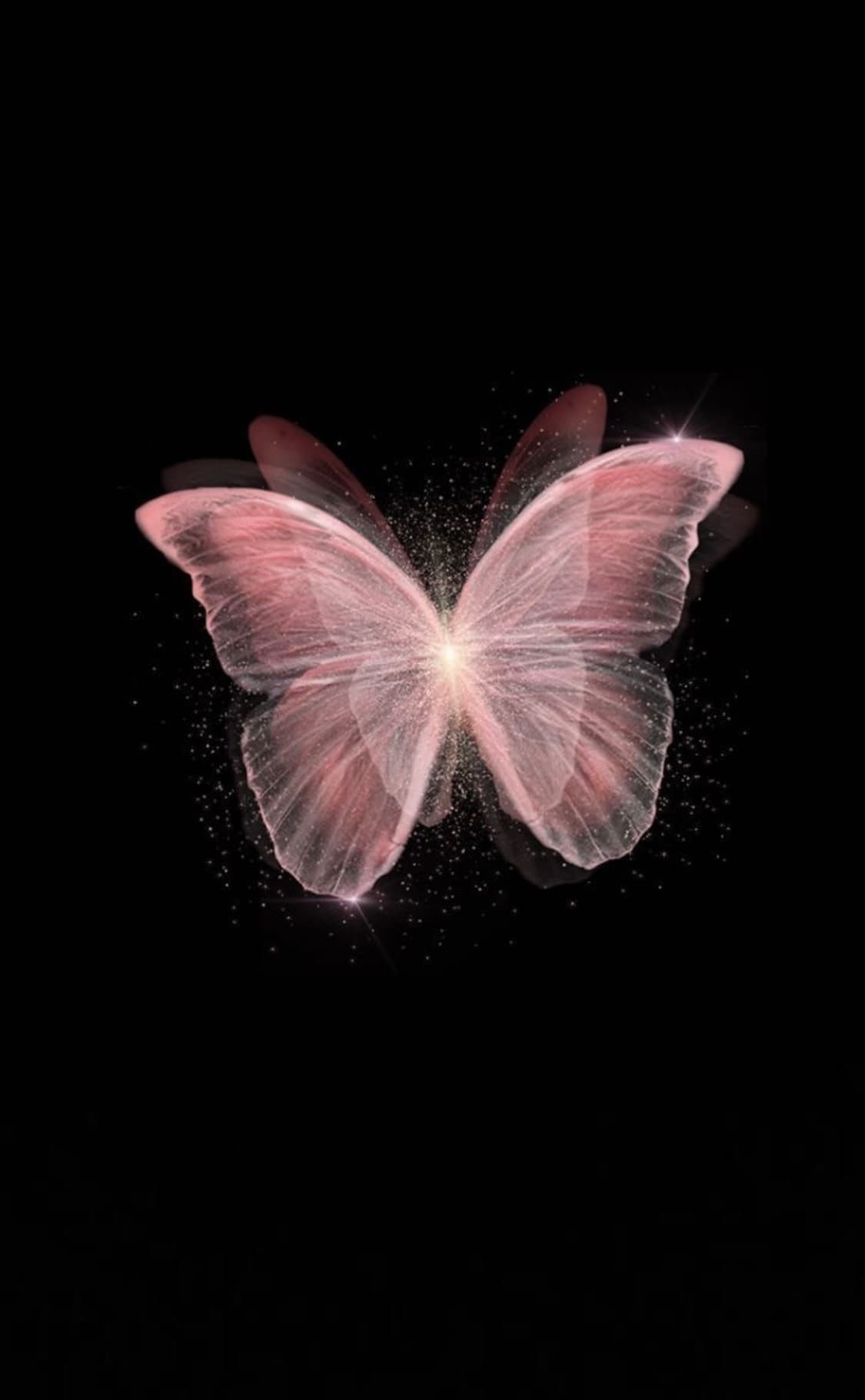 Butterfly banner image