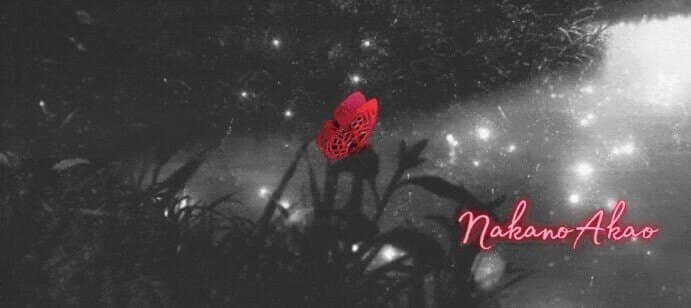 Marissa banner image