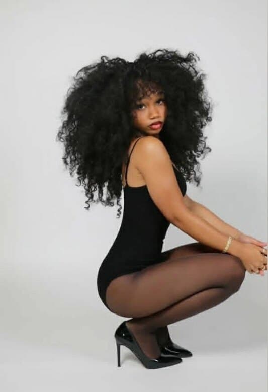 ebony chichi banner image