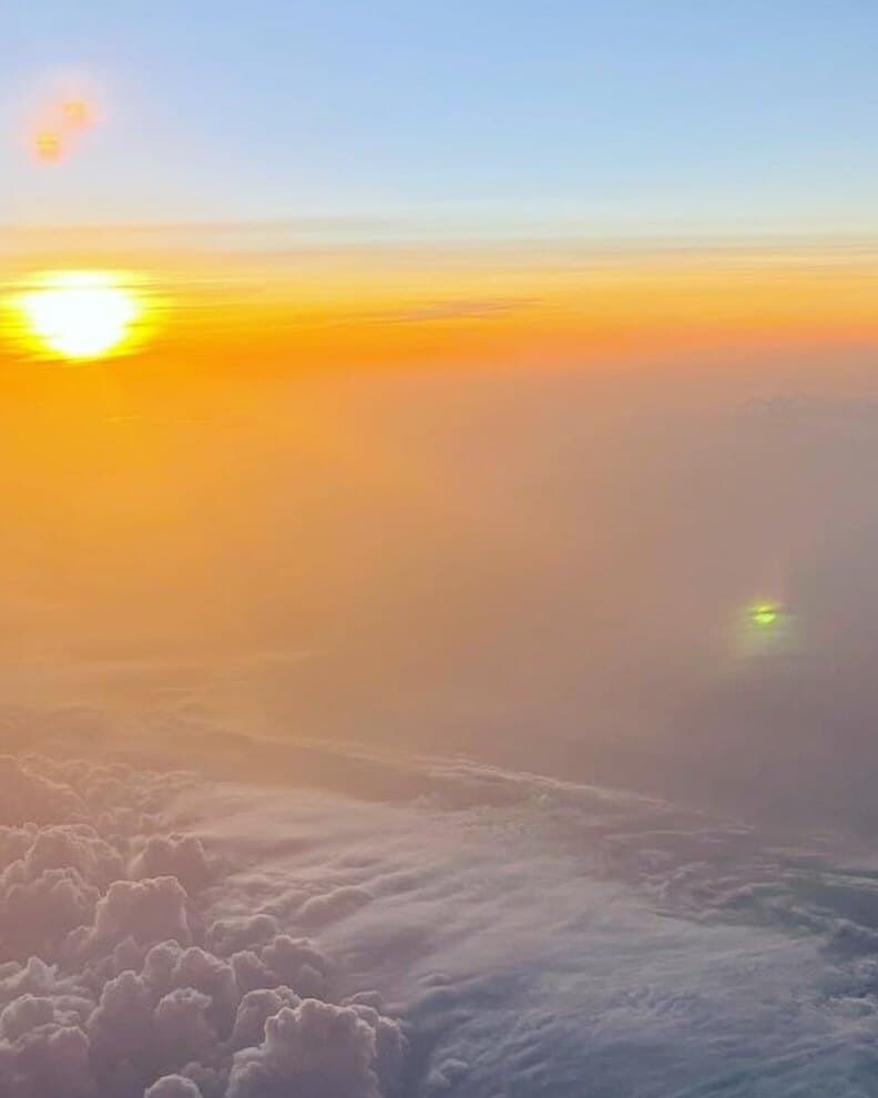 Only yohis banner image
