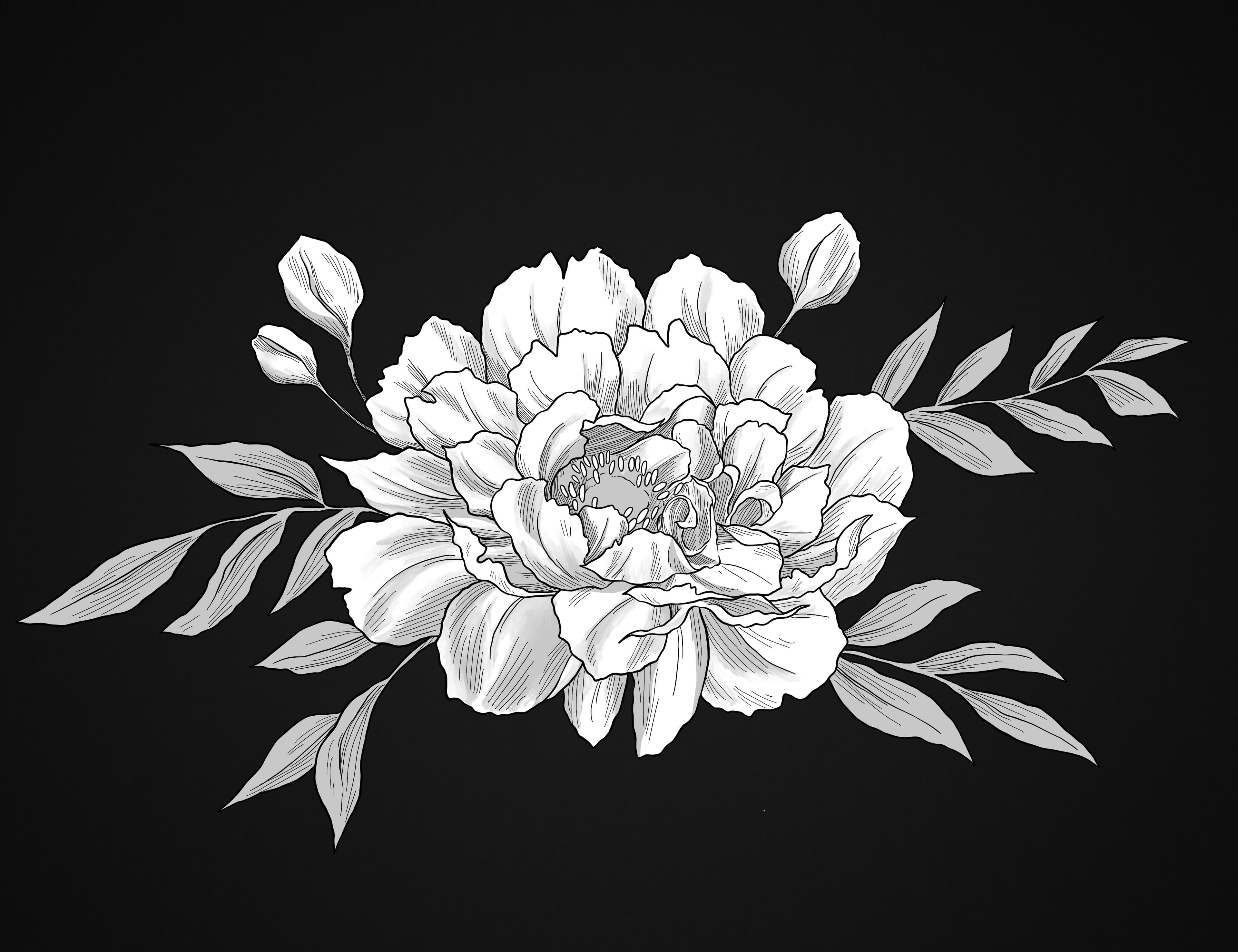 Kyra Maroon banner image