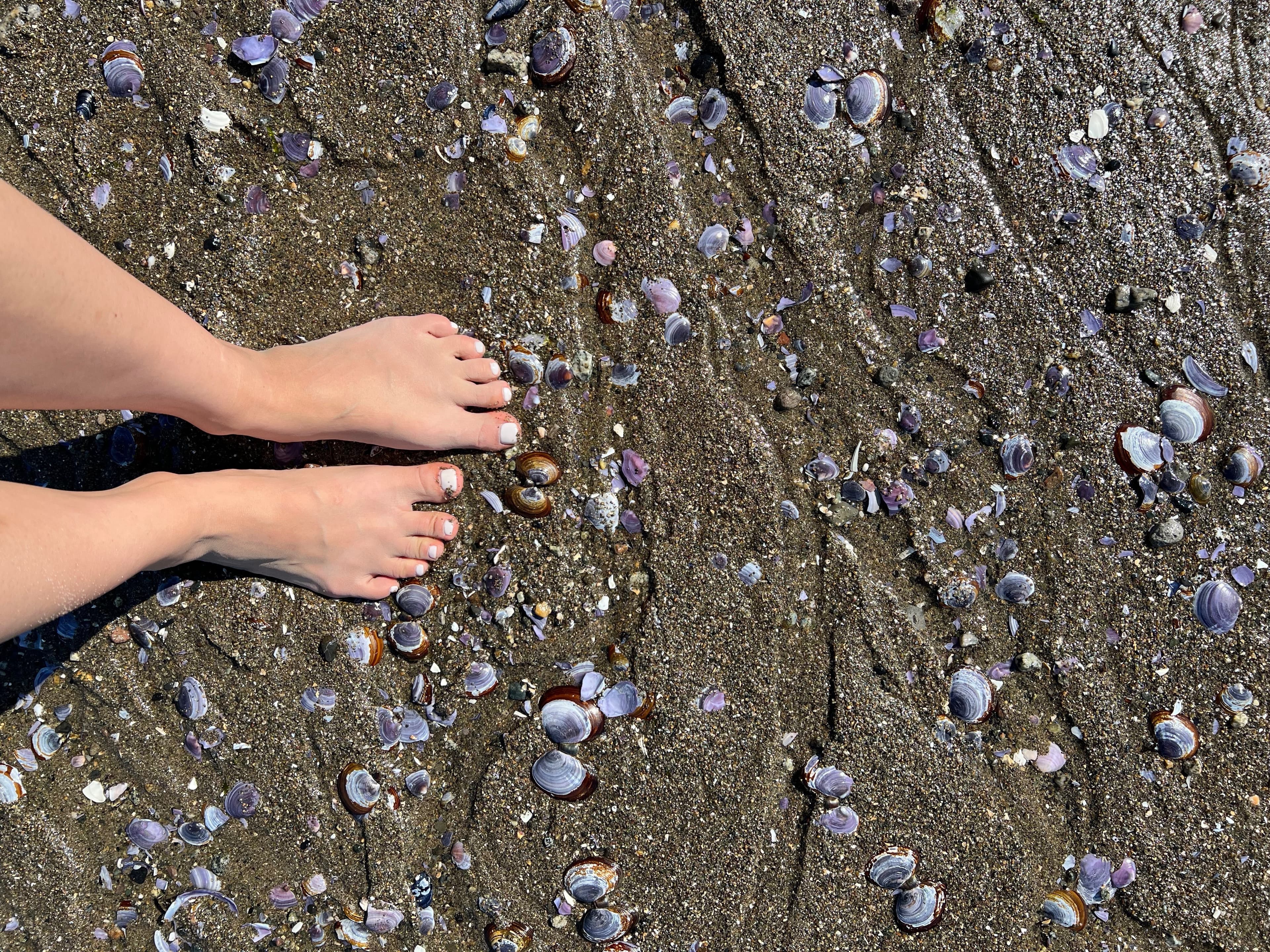 Jade's Feet banner image