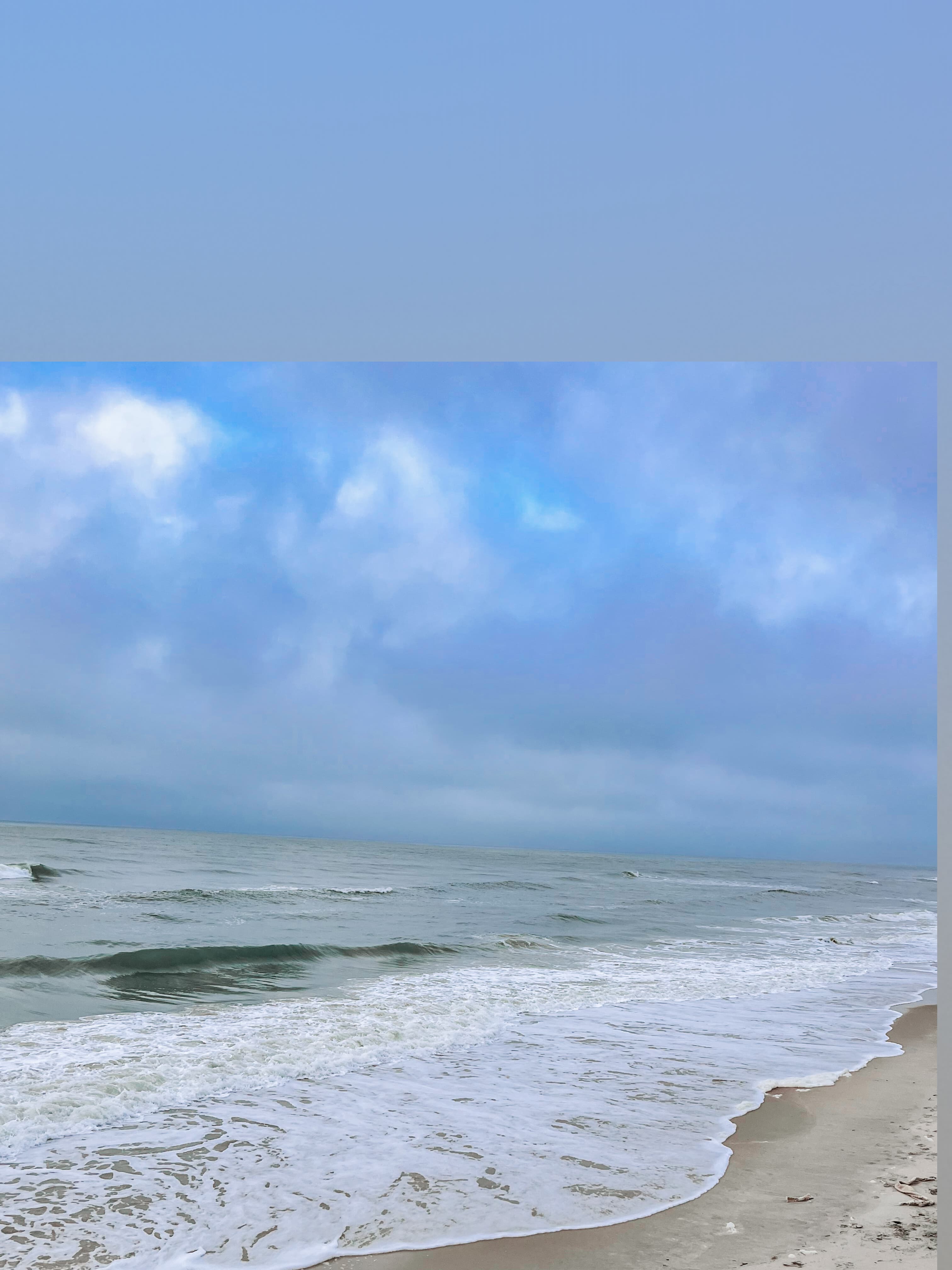 _Eliza25208_ banner image