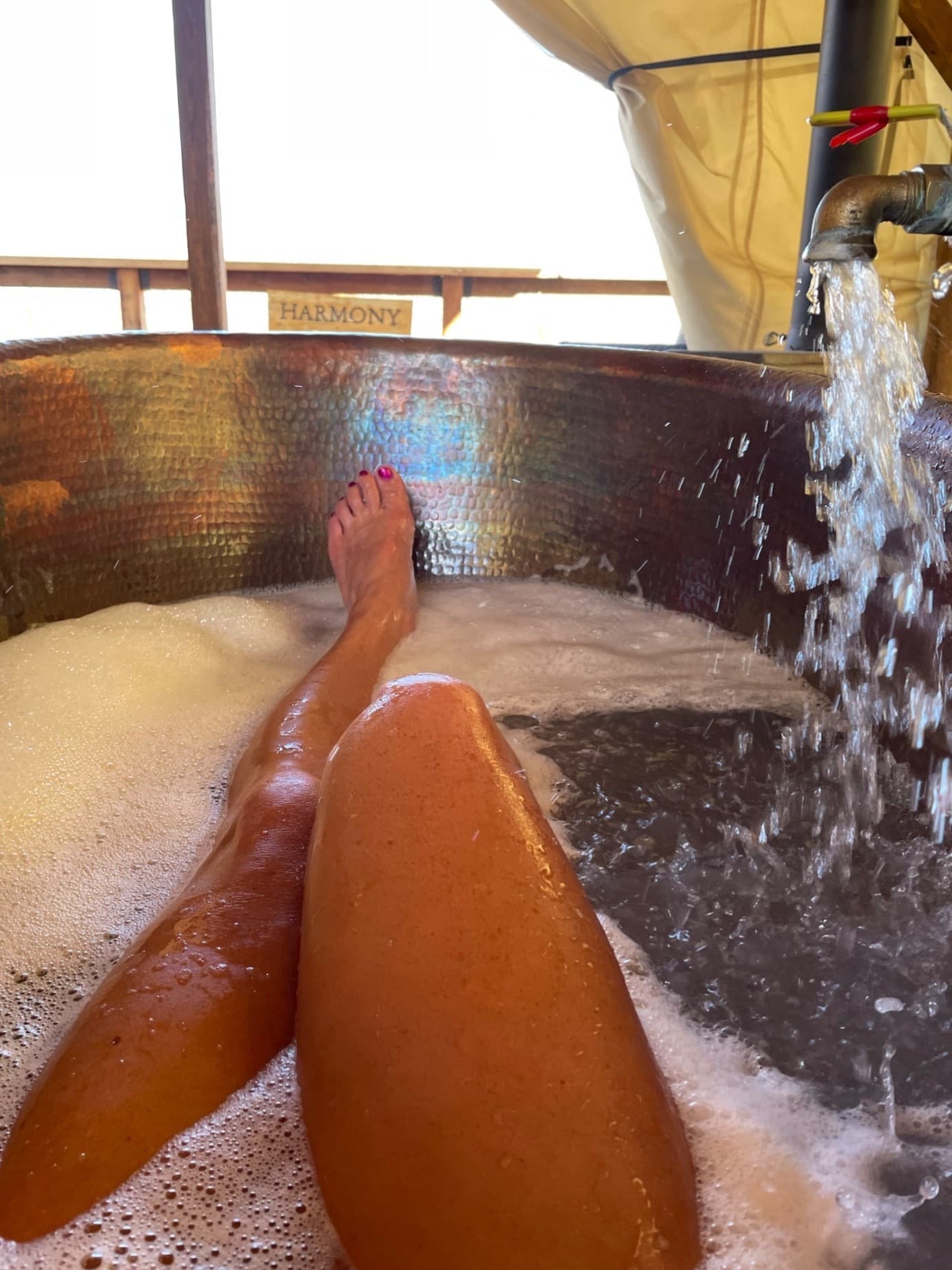 Legz4Dayze banner image