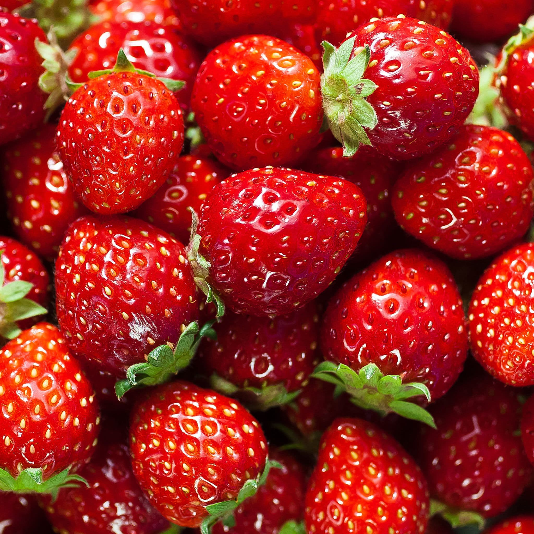 Free Strawberryblondebbw banner image