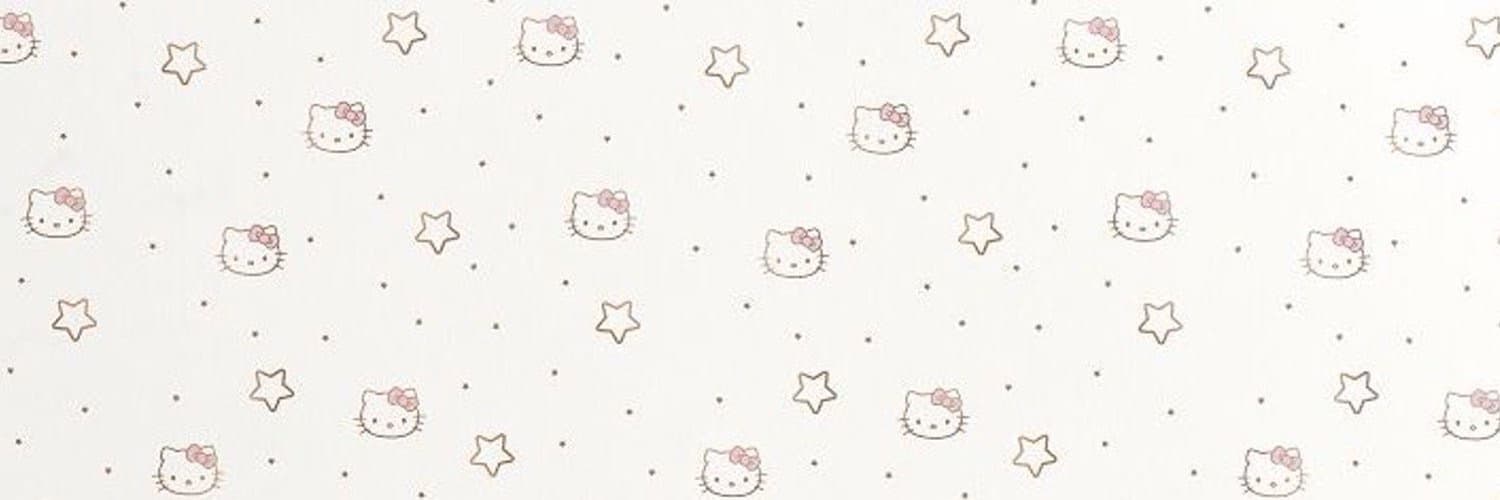 ˚₊‧꒰ა emily ໒꒱ ‧₊˚ banner image