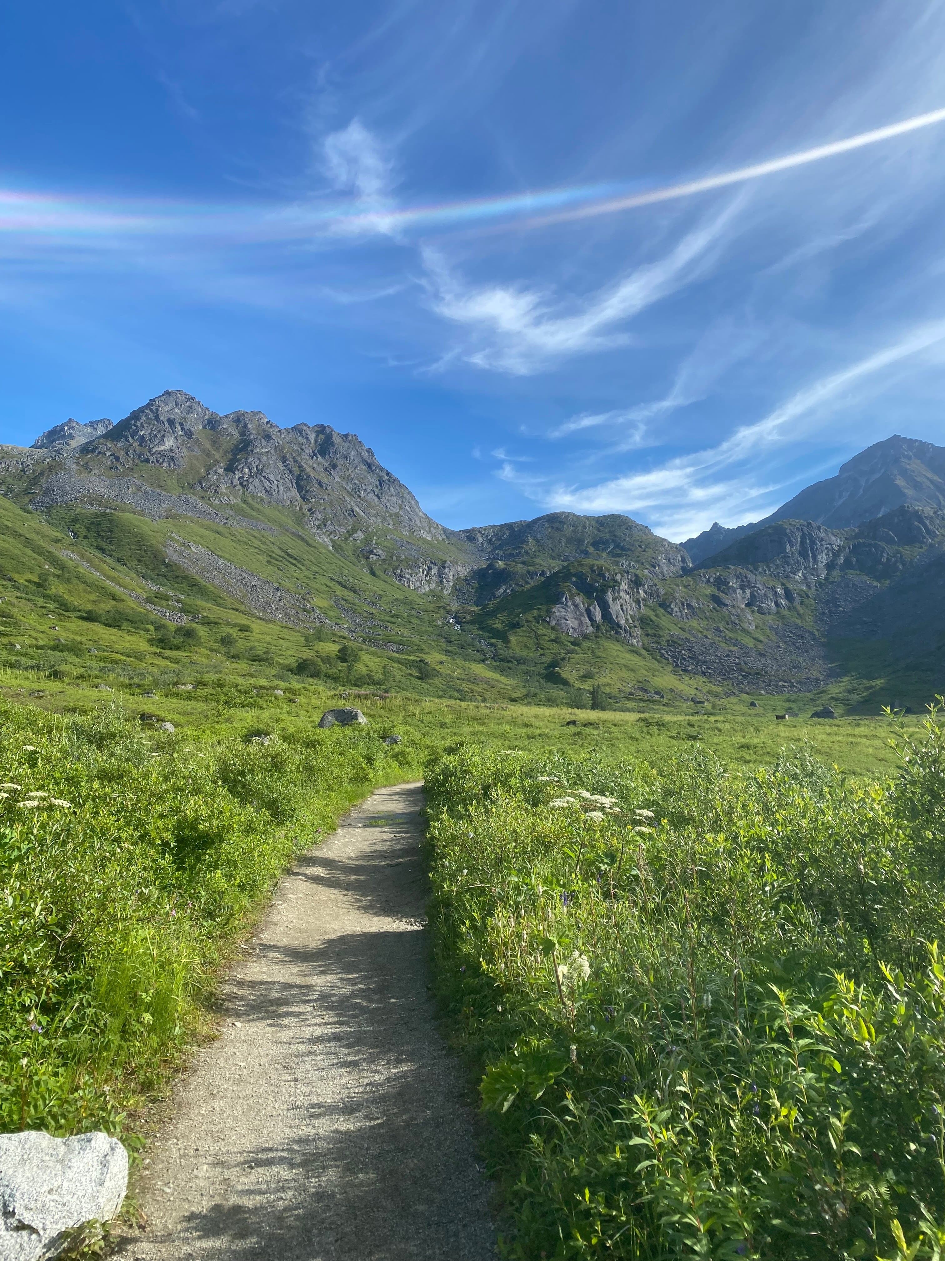 AlaskaBoy banner image
