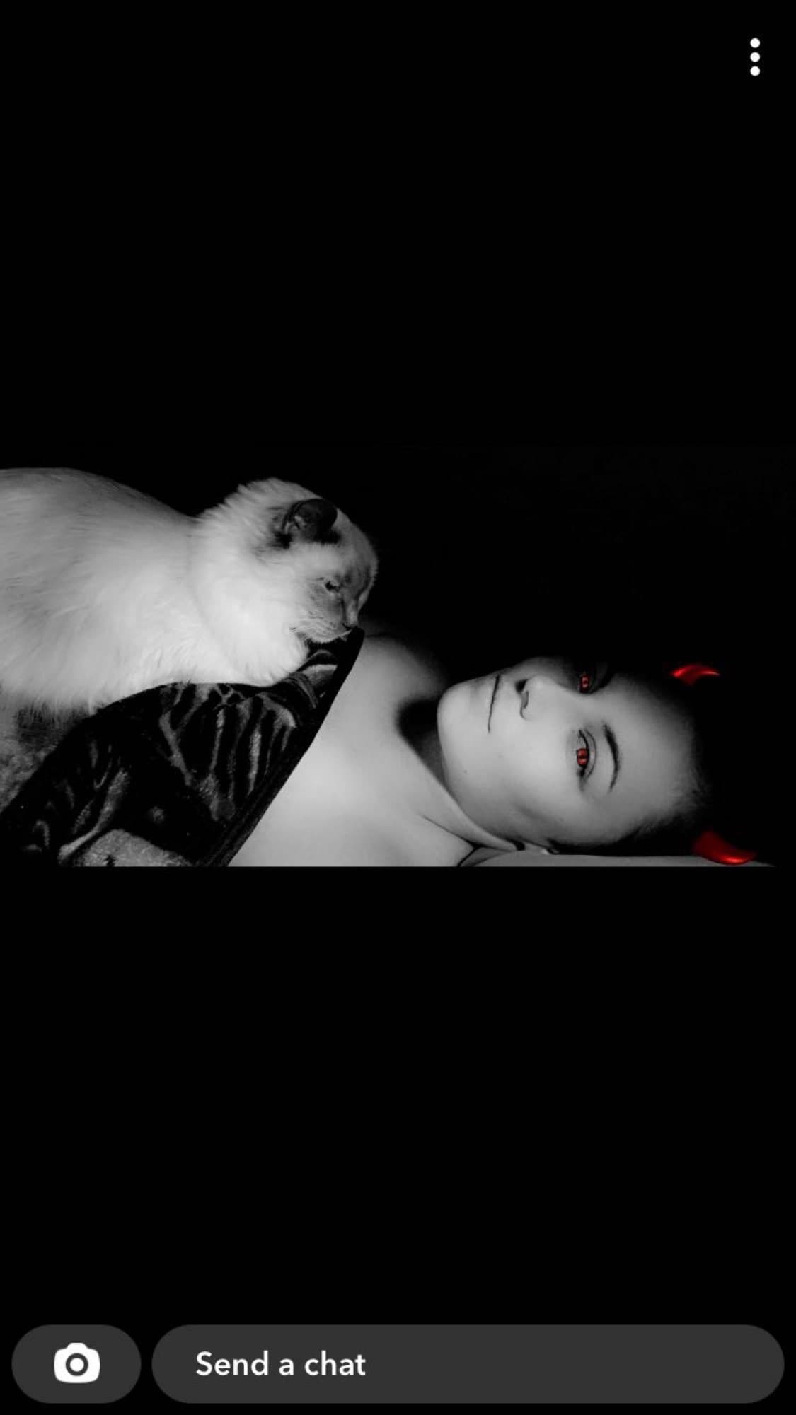 Bailey Hawl banner image