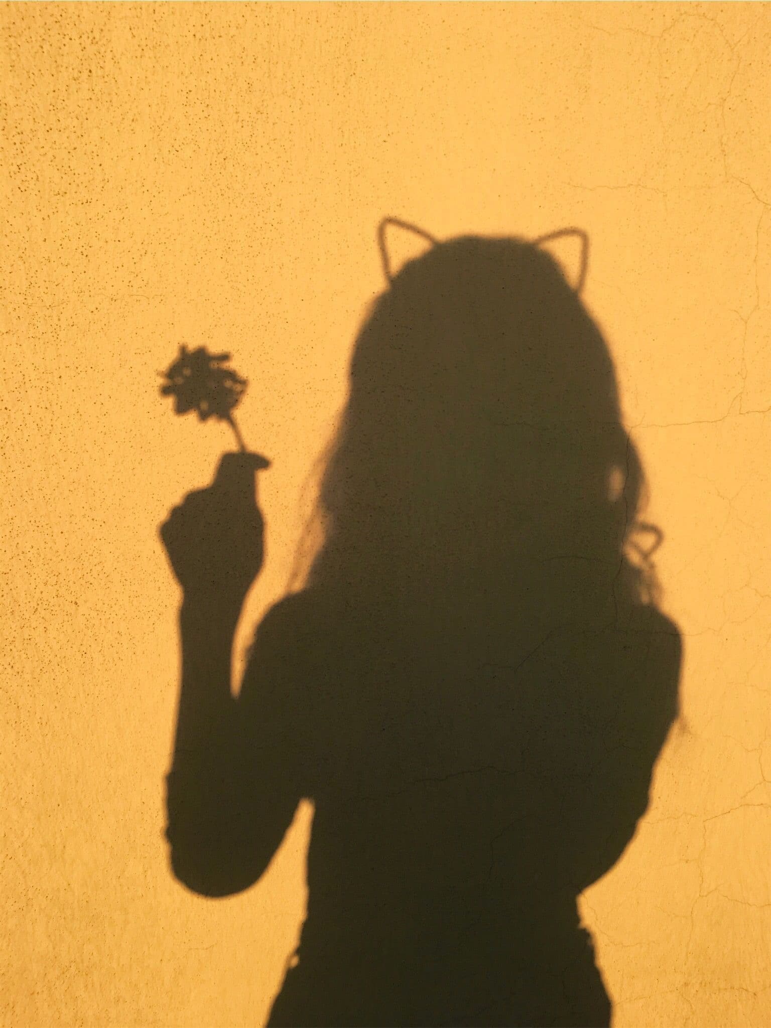 Kaylee Eubanks banner image