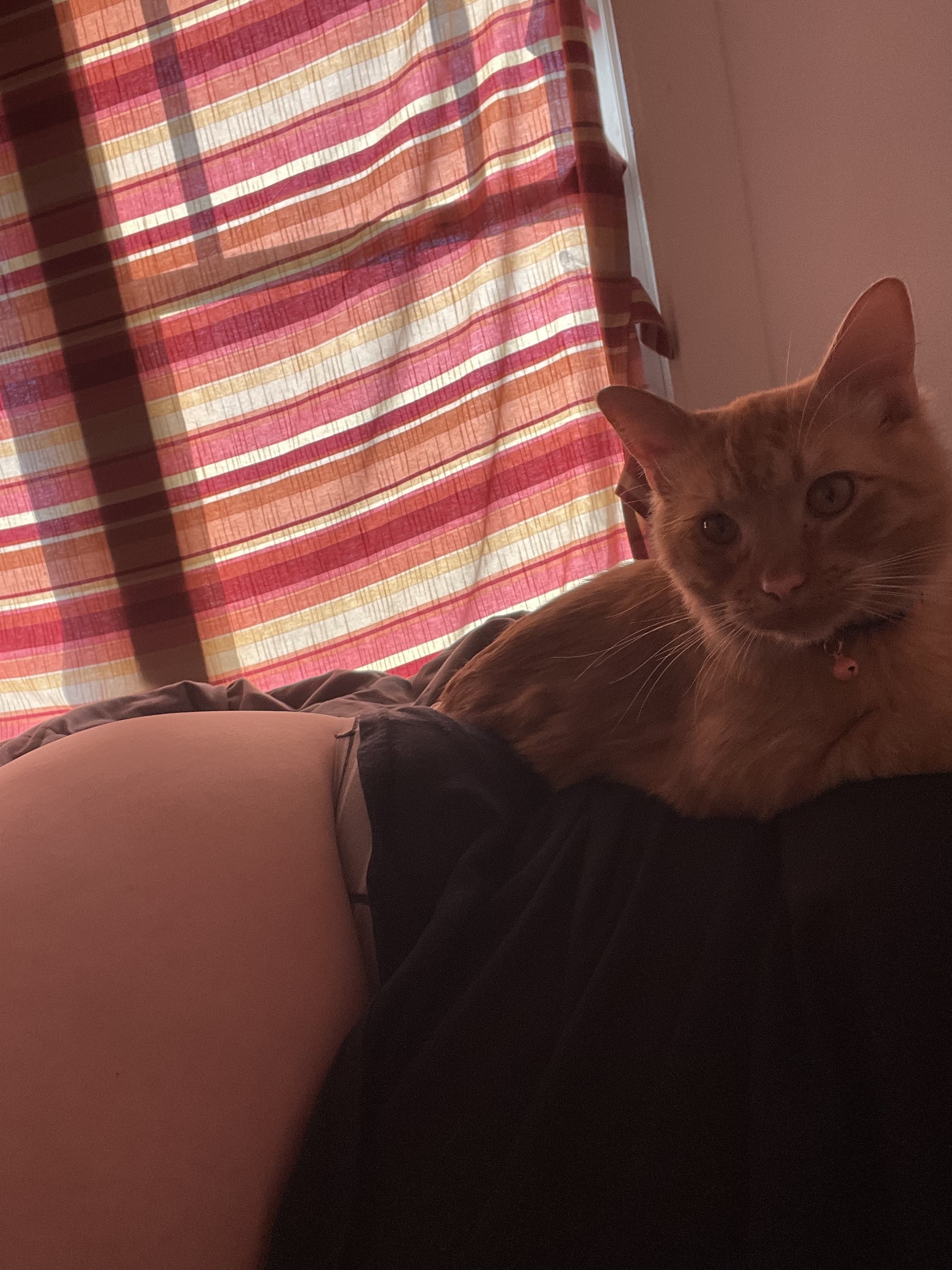 lowerhalfphat banner image