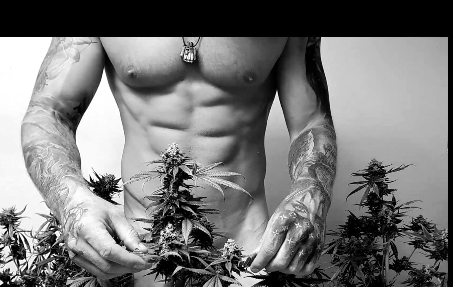 Nature_boy banner image