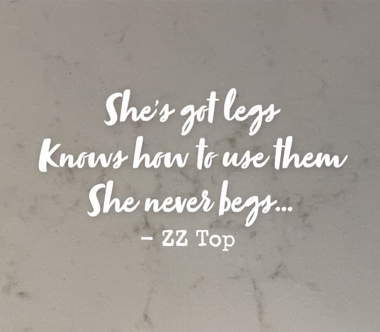 ShesGotLegs banner image