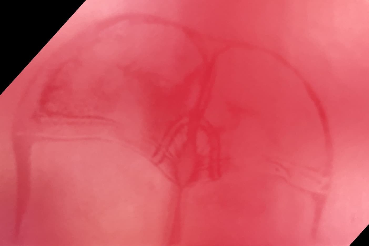 Sweatymusclemommy banner image