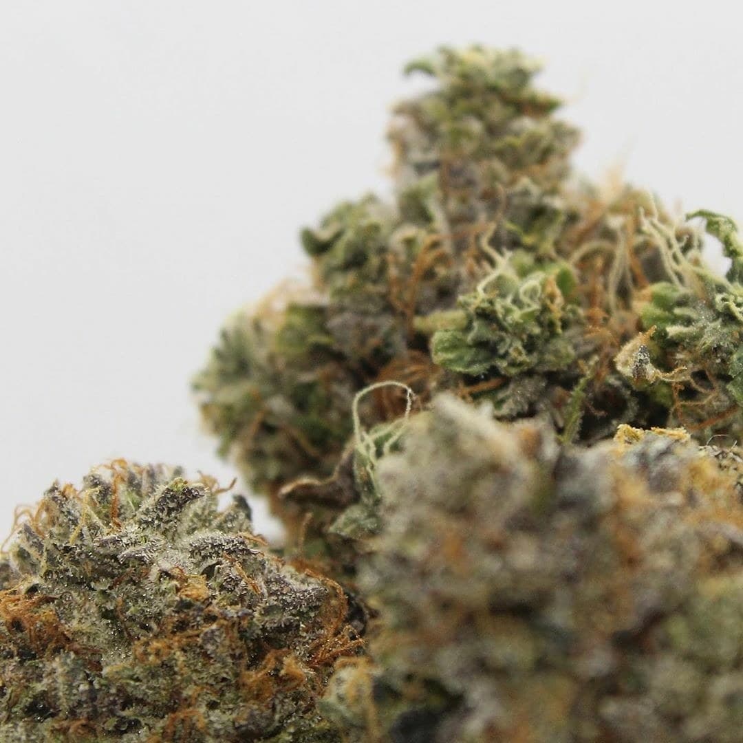 Boobs.n.Blunts banner image