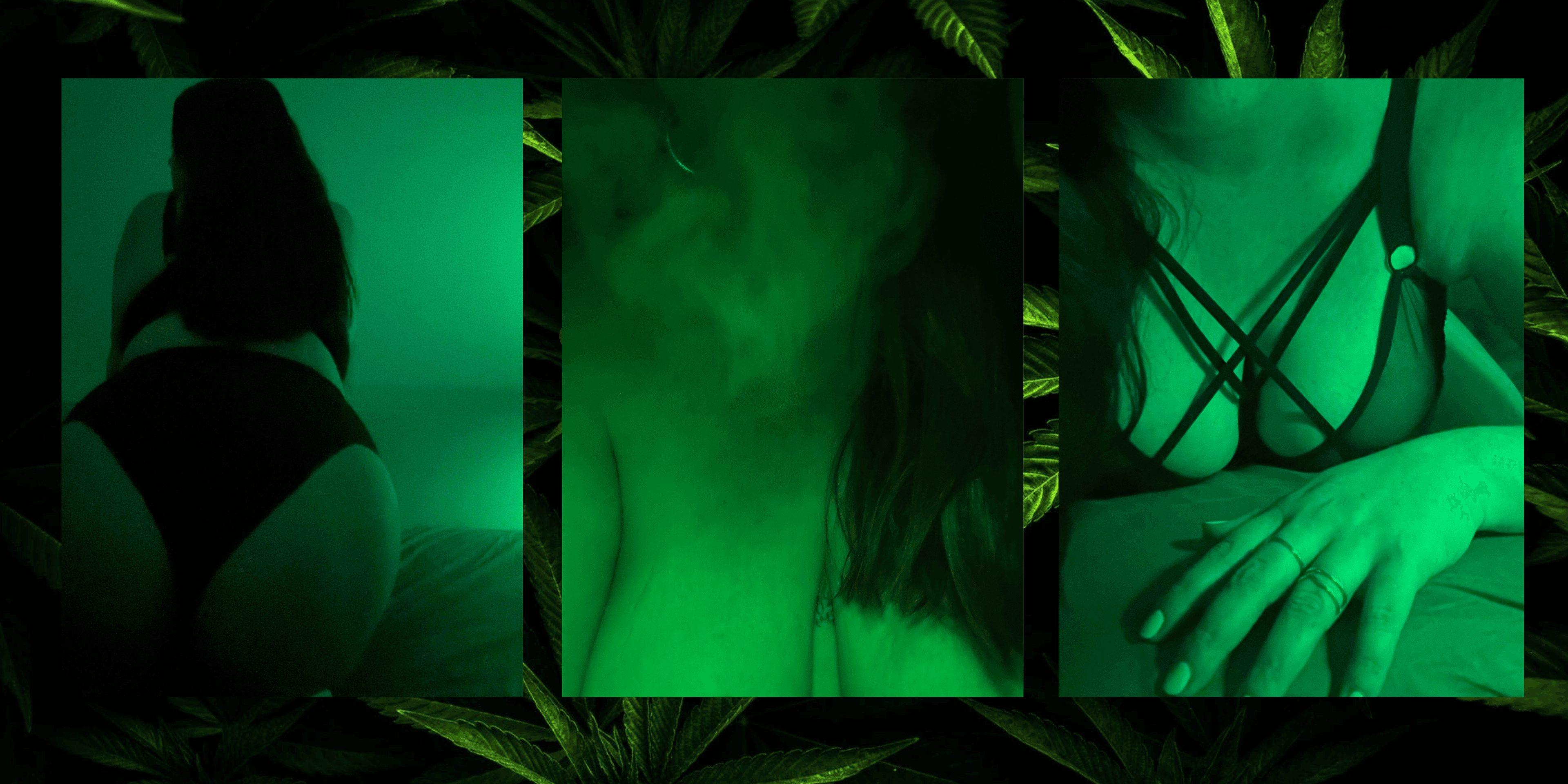 hazycurves banner image