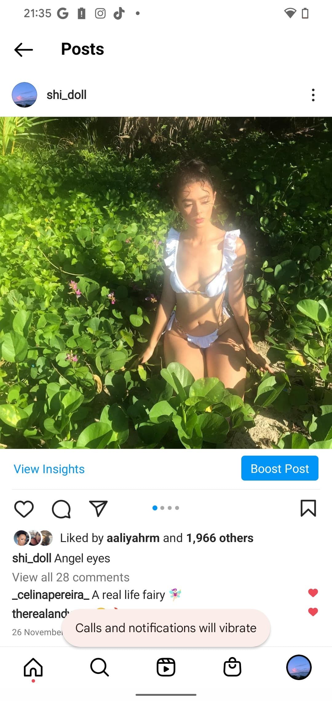 cocaine. banner image