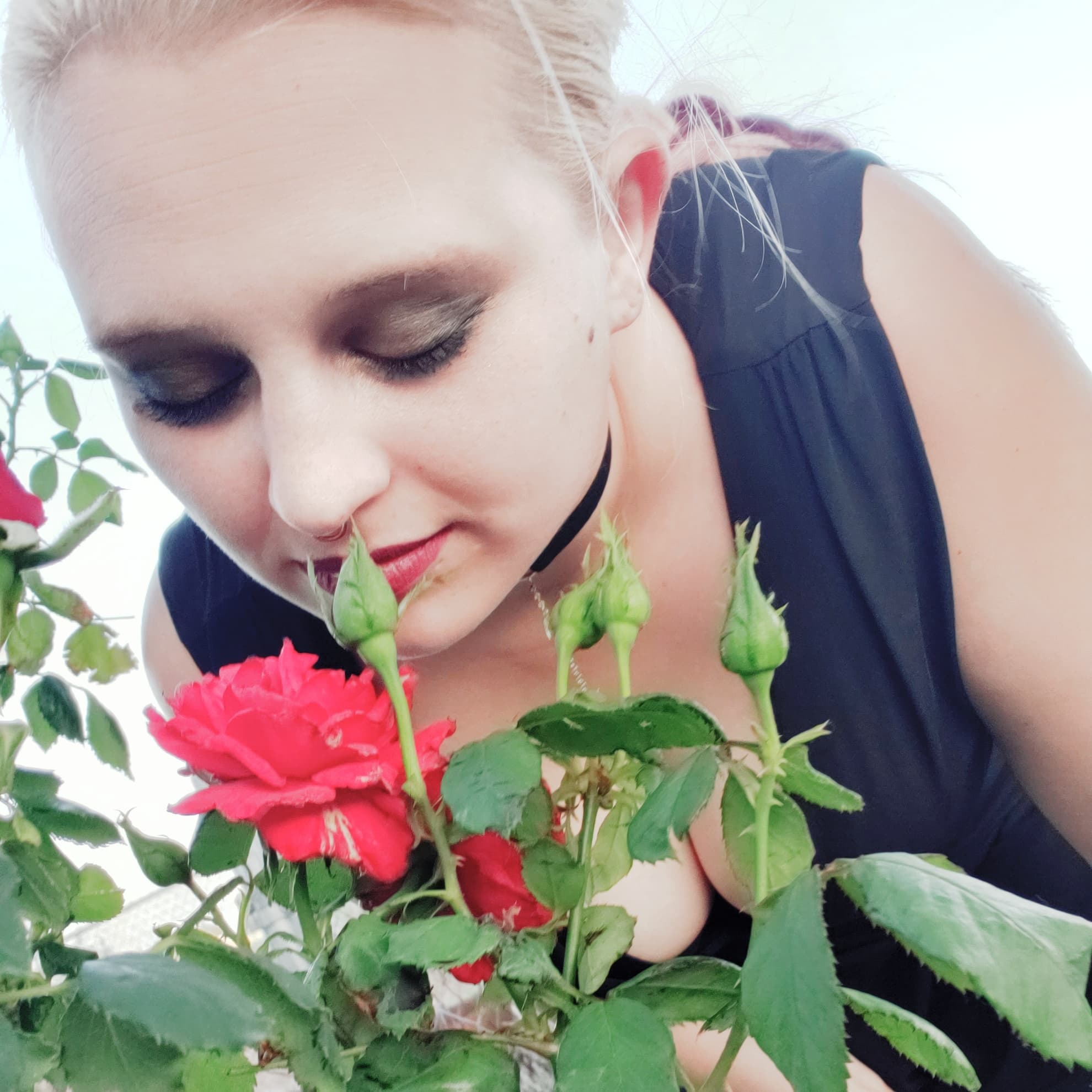 SillyHippie banner image