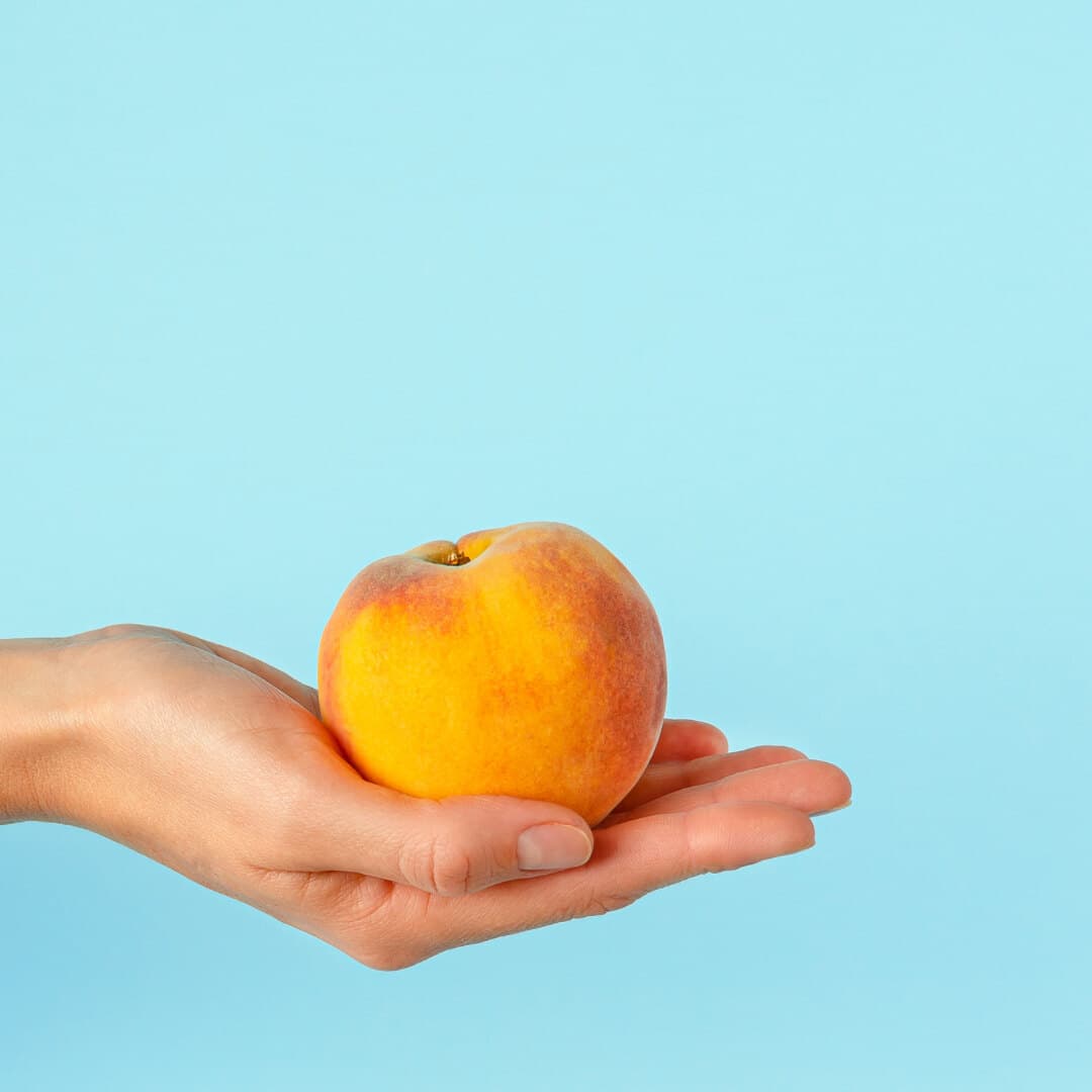 EnglishRosePeach banner image