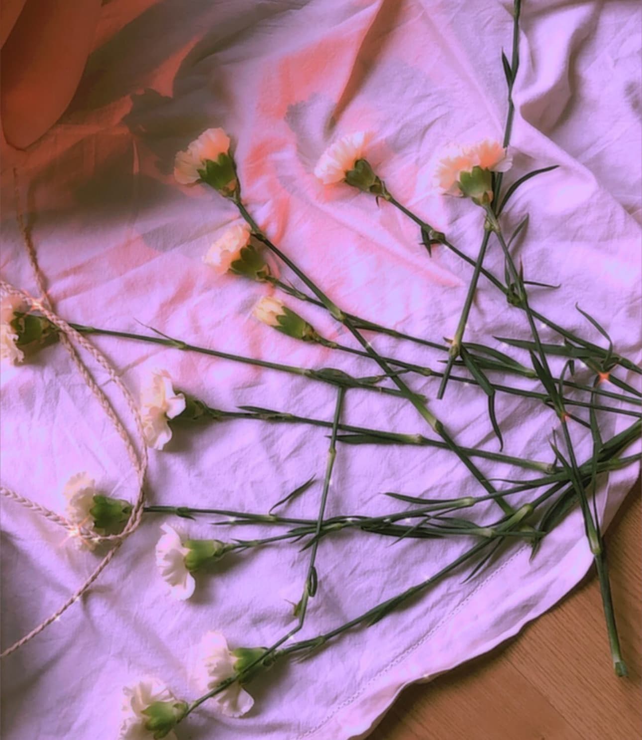 XO banner image