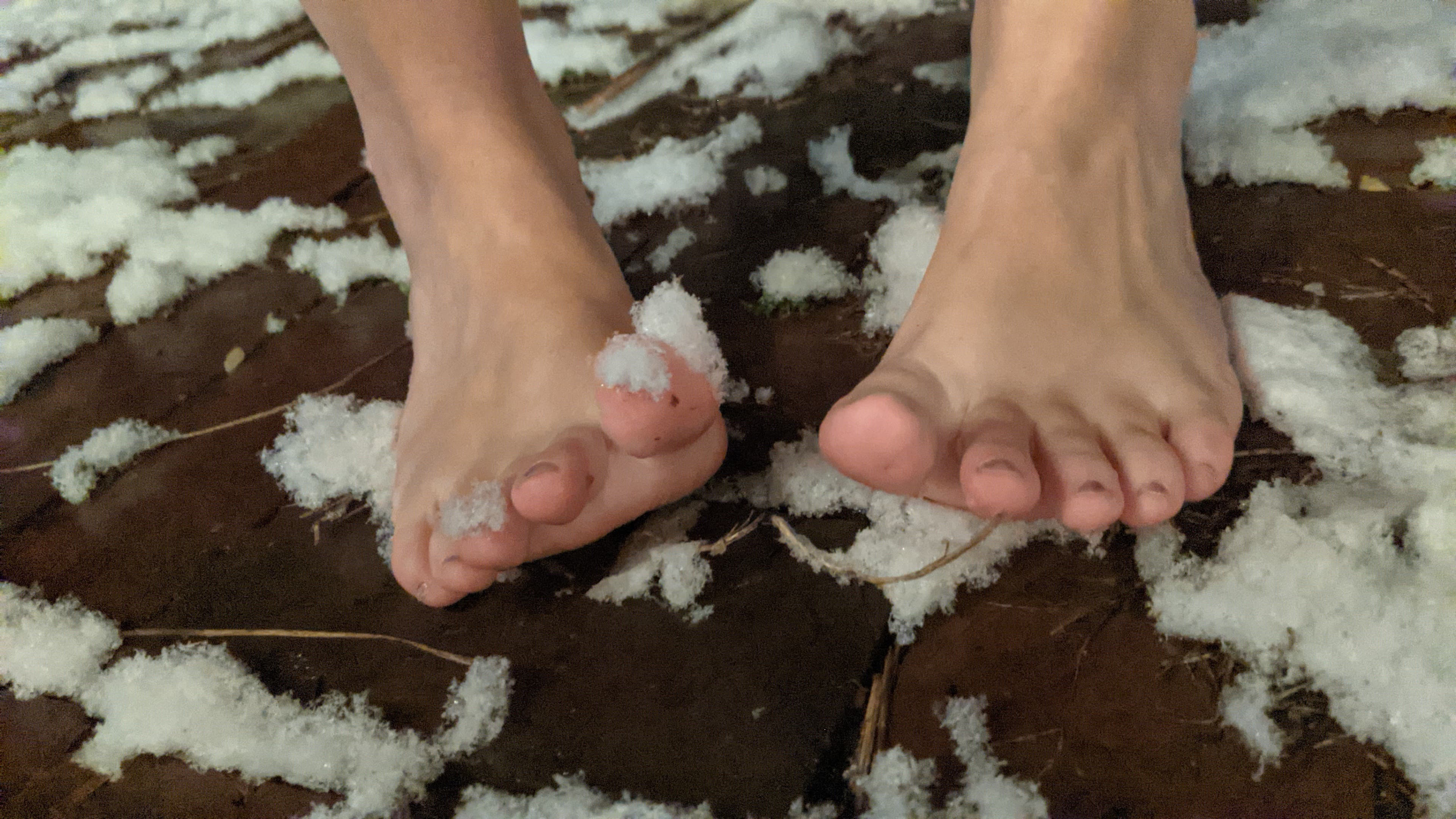 Farmcorefeet banner image